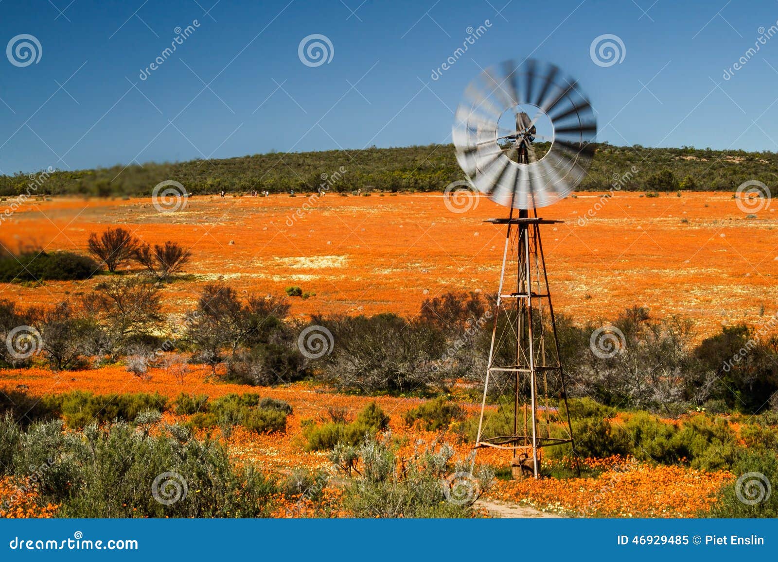 flower scene