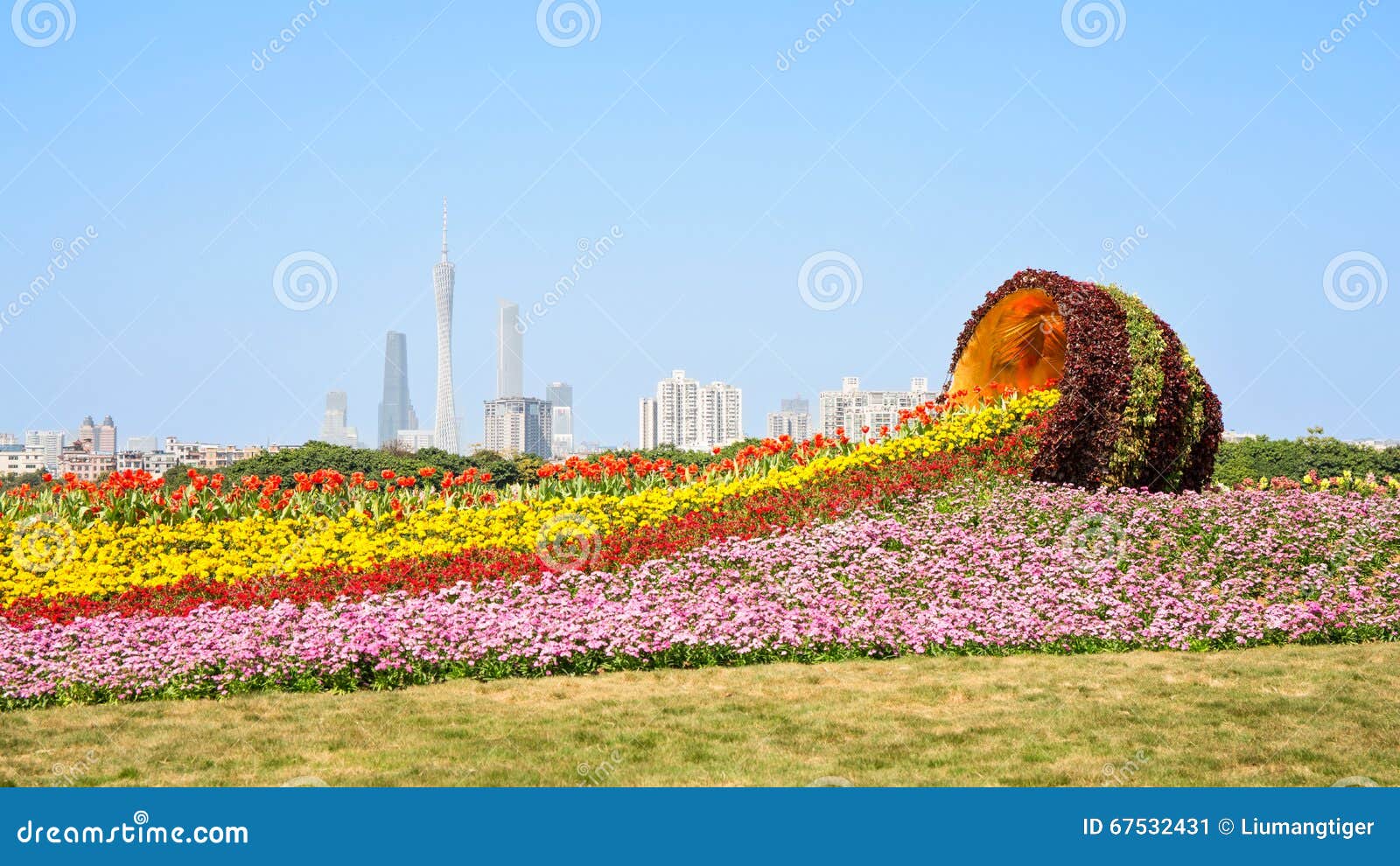 [Image: flower-sea-flower-city-spring-guangzhou-...532431.jpg]