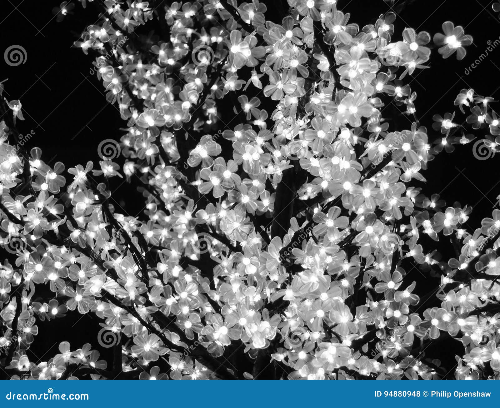 Flower Shaped Led Fairy Lights in a Tree Stock Photo Image of effect
