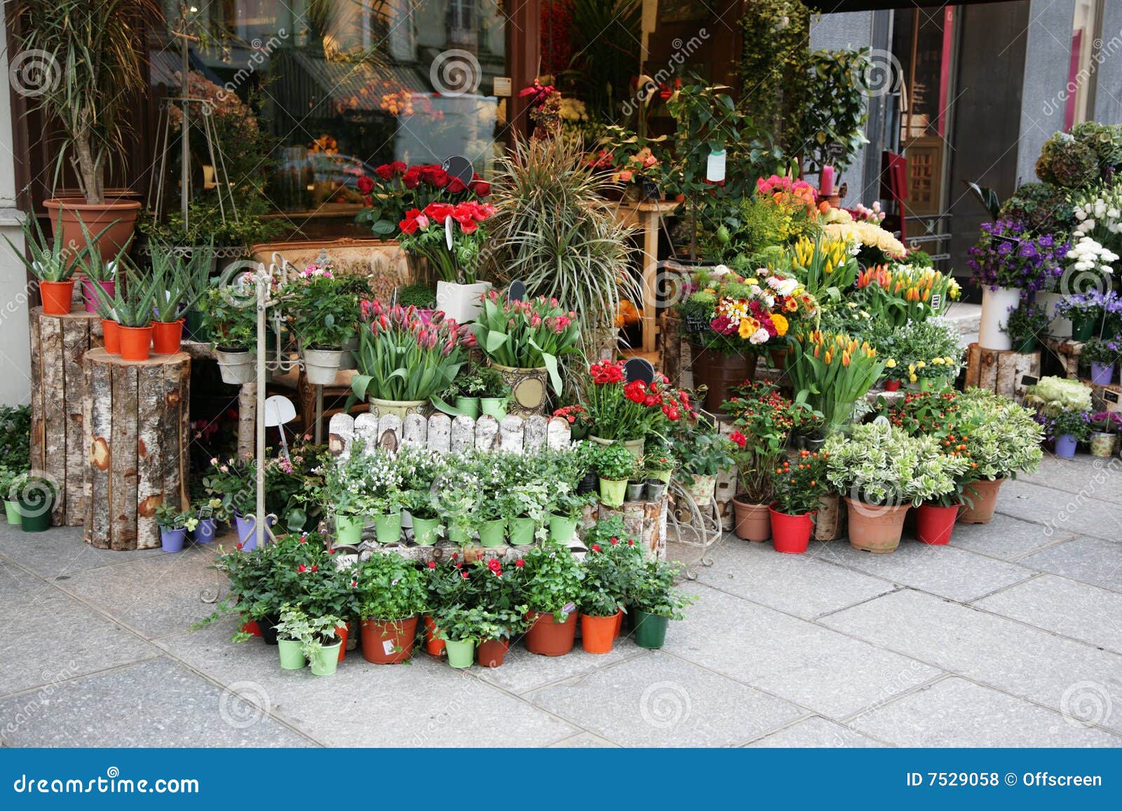 Flower shop stock photo. Image of group, shop, france 7529058