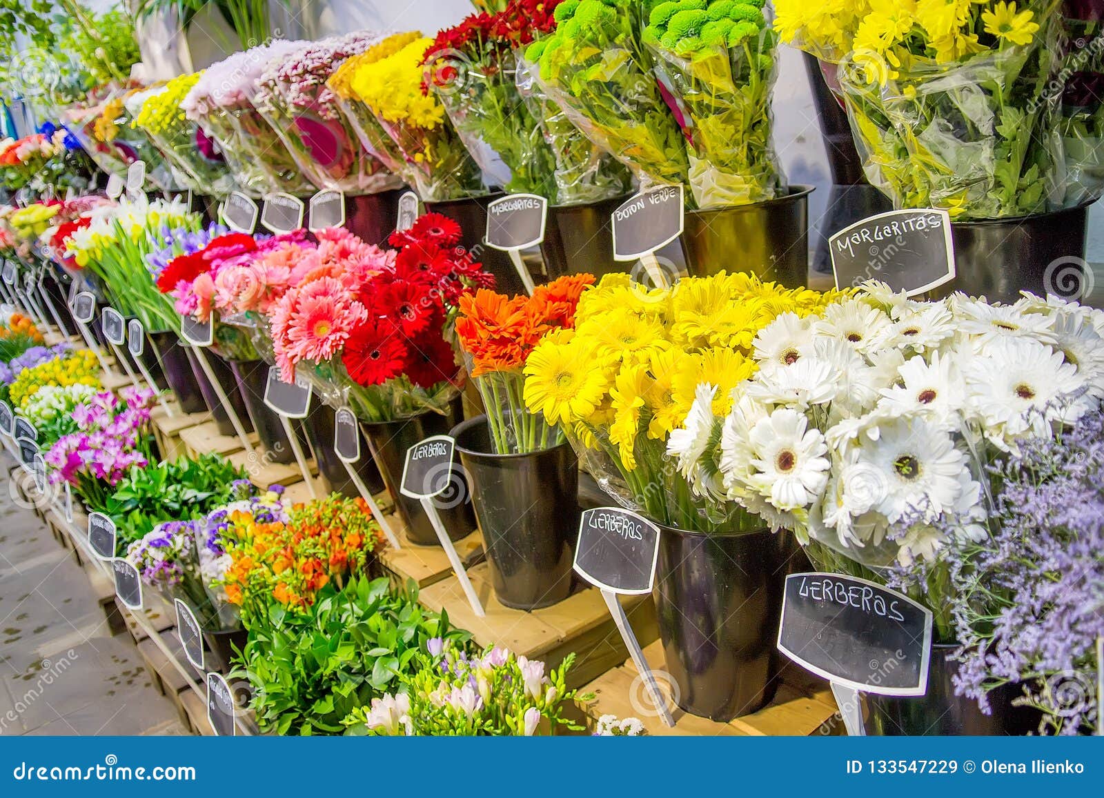 Flower Shop on a City Street Stock Image - Image of fresh, blossom ...