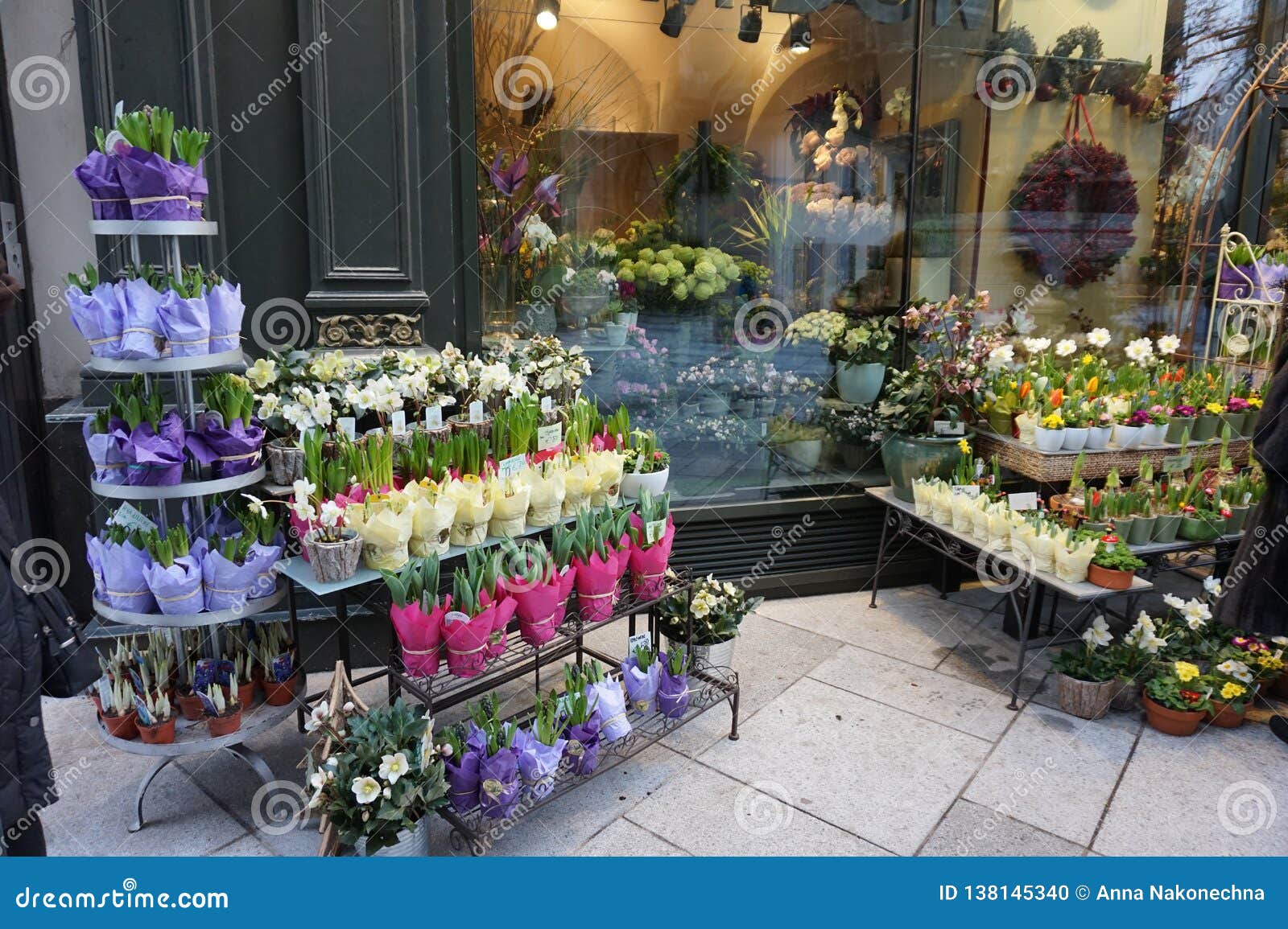 Flower Shop with Live Plants in Vienna. Editorial Image Image of