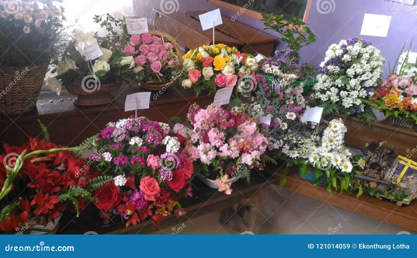 Flower show stock image. Image of school, kohima, flower 121014059