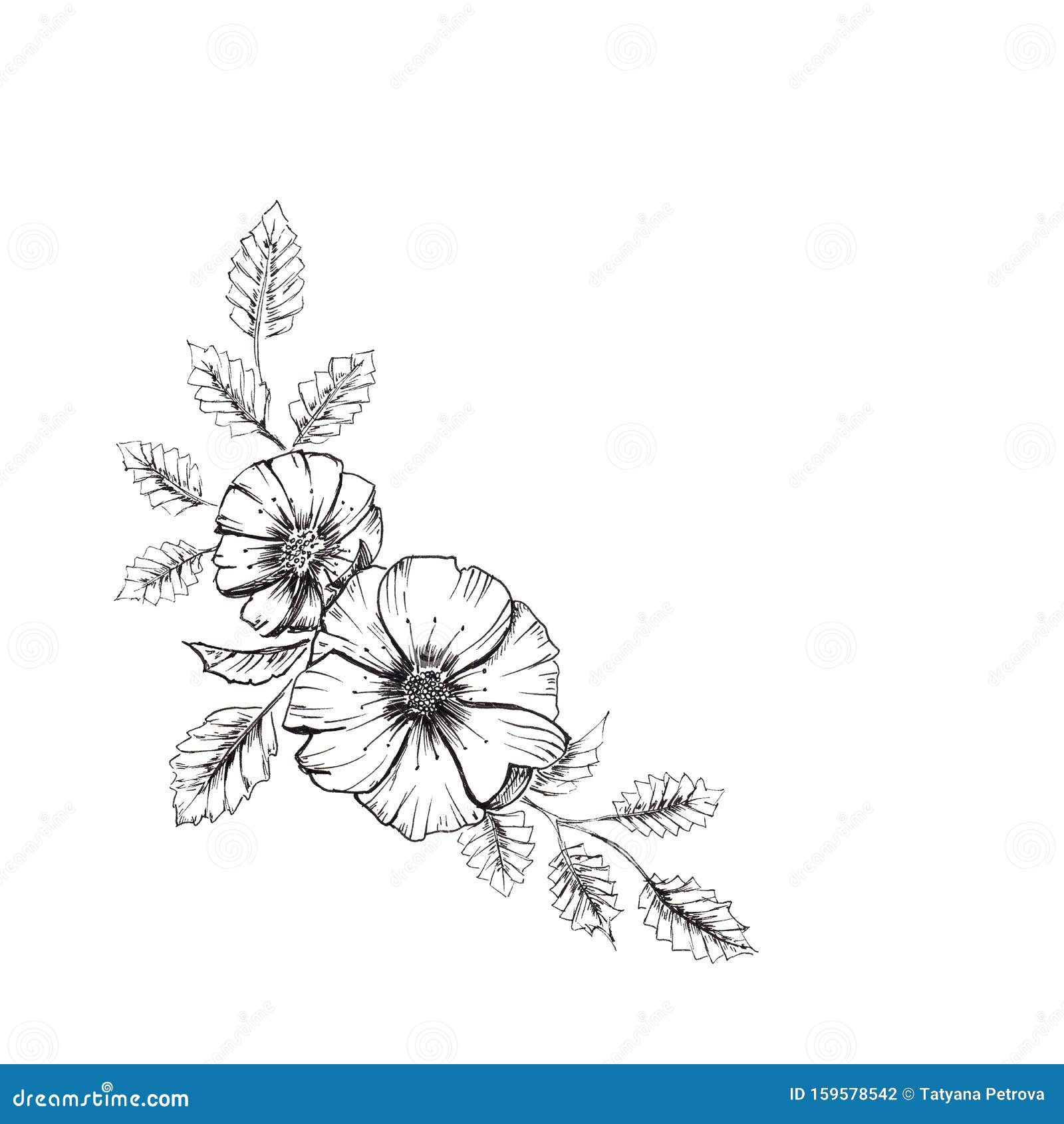 Flower Sketch