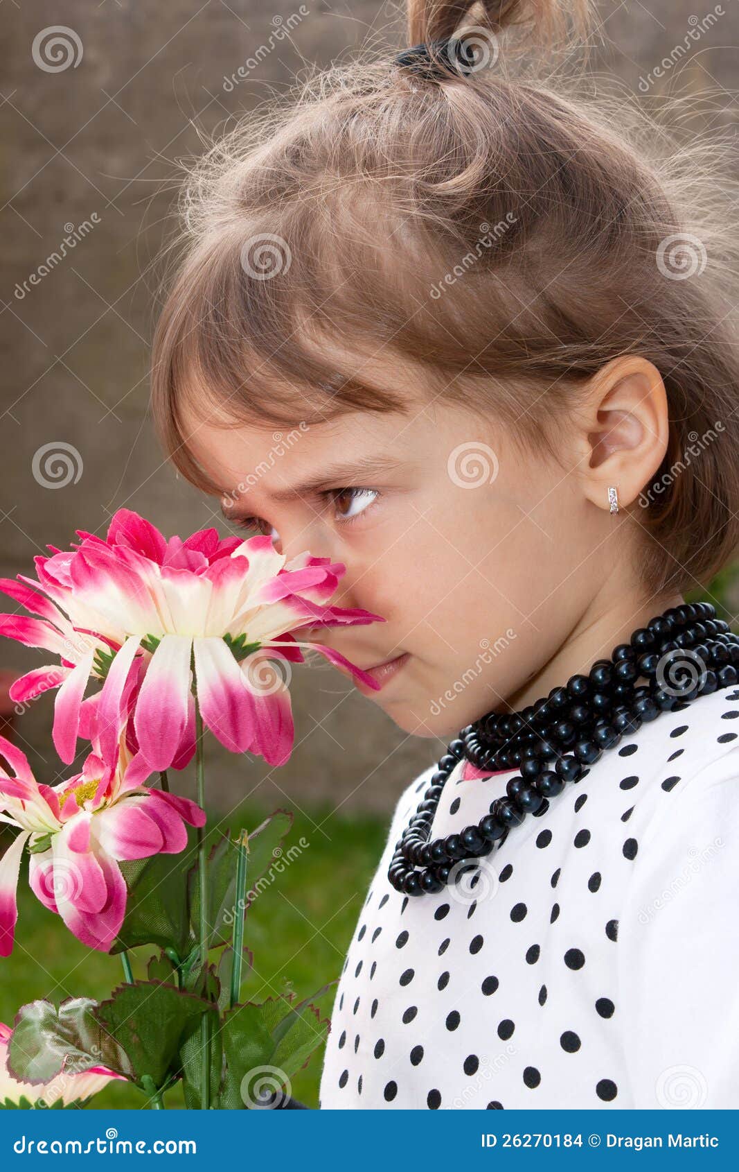Flower Smelling stock photo. Image of flowers, garden 26270184