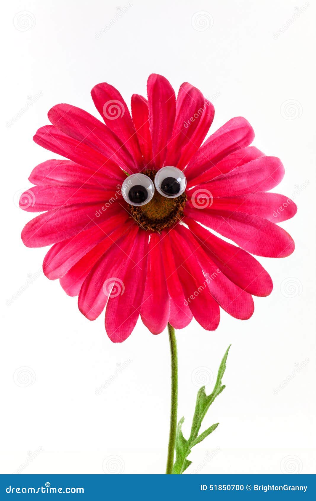Flower with a smiling face stock photo. Image of eyes 51850700