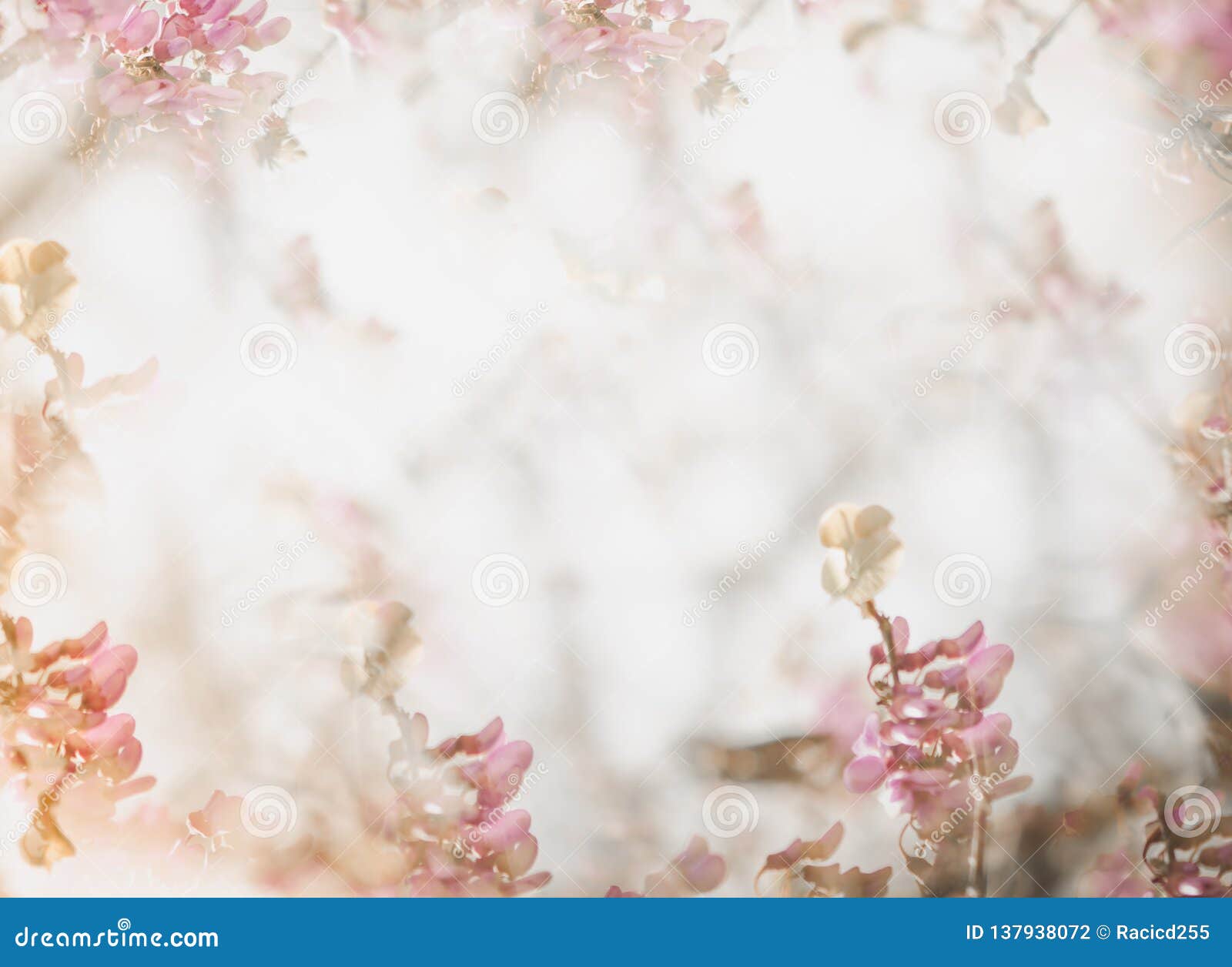 Flower Soft Background in Pastel Tone for Valentine or Wedding .Vintage  Spring Flower Background. Flower Design Template. Stock Photo - Image of  bloom, light: 137938072
