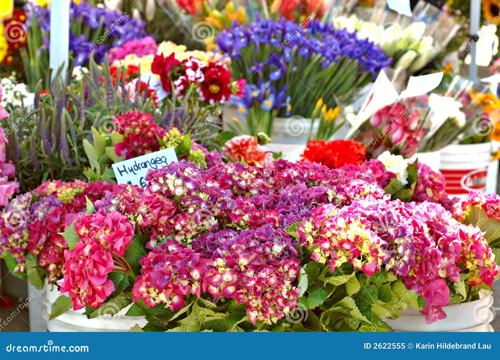 Flower Stall stock image. Image of shop, display, bucket 2622555