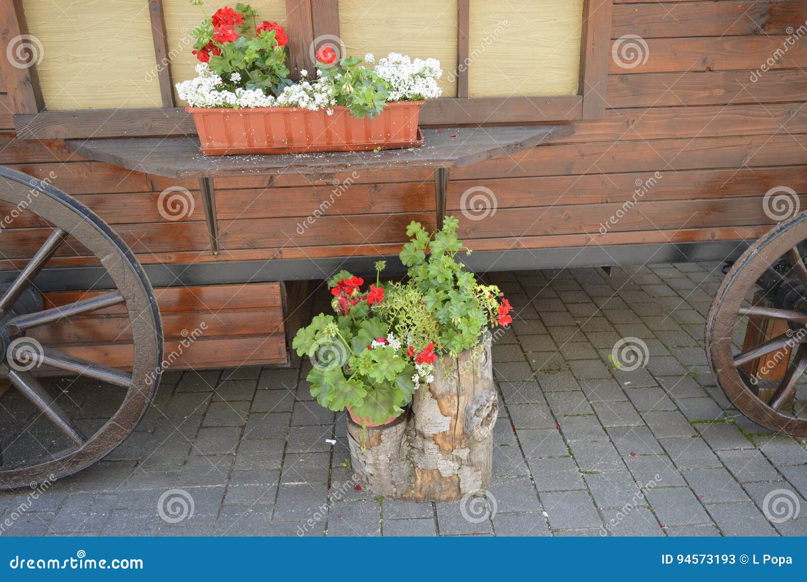 Flower stands . stock image. Image of market, nature 94573193