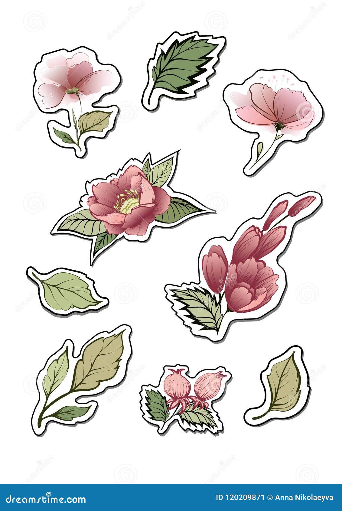 1000+ Watercolor Flower Pictures | Download Free Images on Unsplash, image size:1131x1690