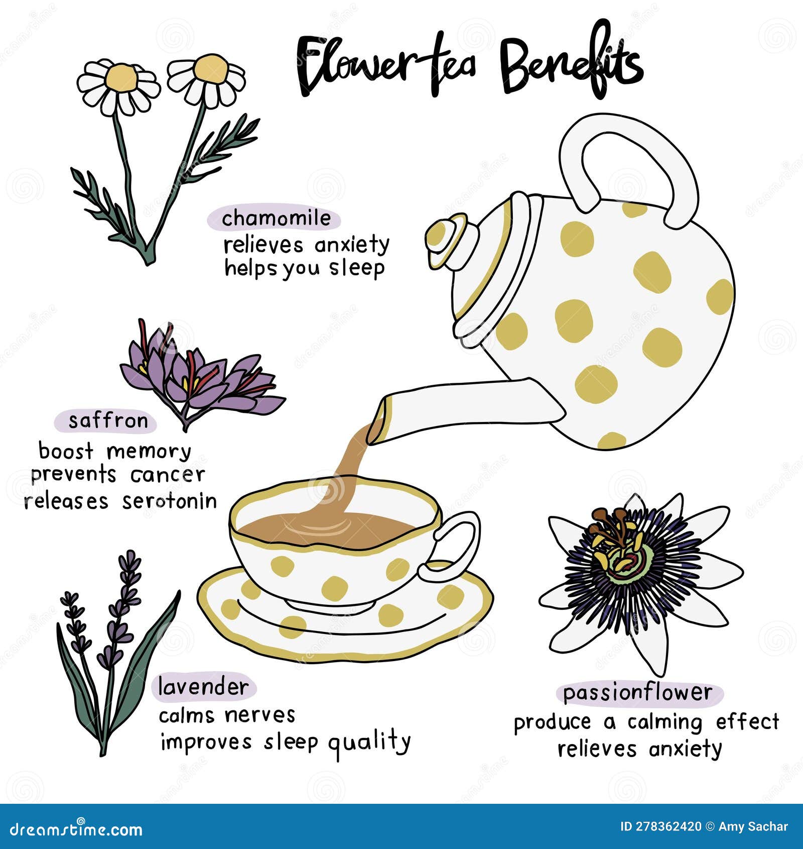 Flower Tea Benefits Vector Illustration Stock Vector Illustration of