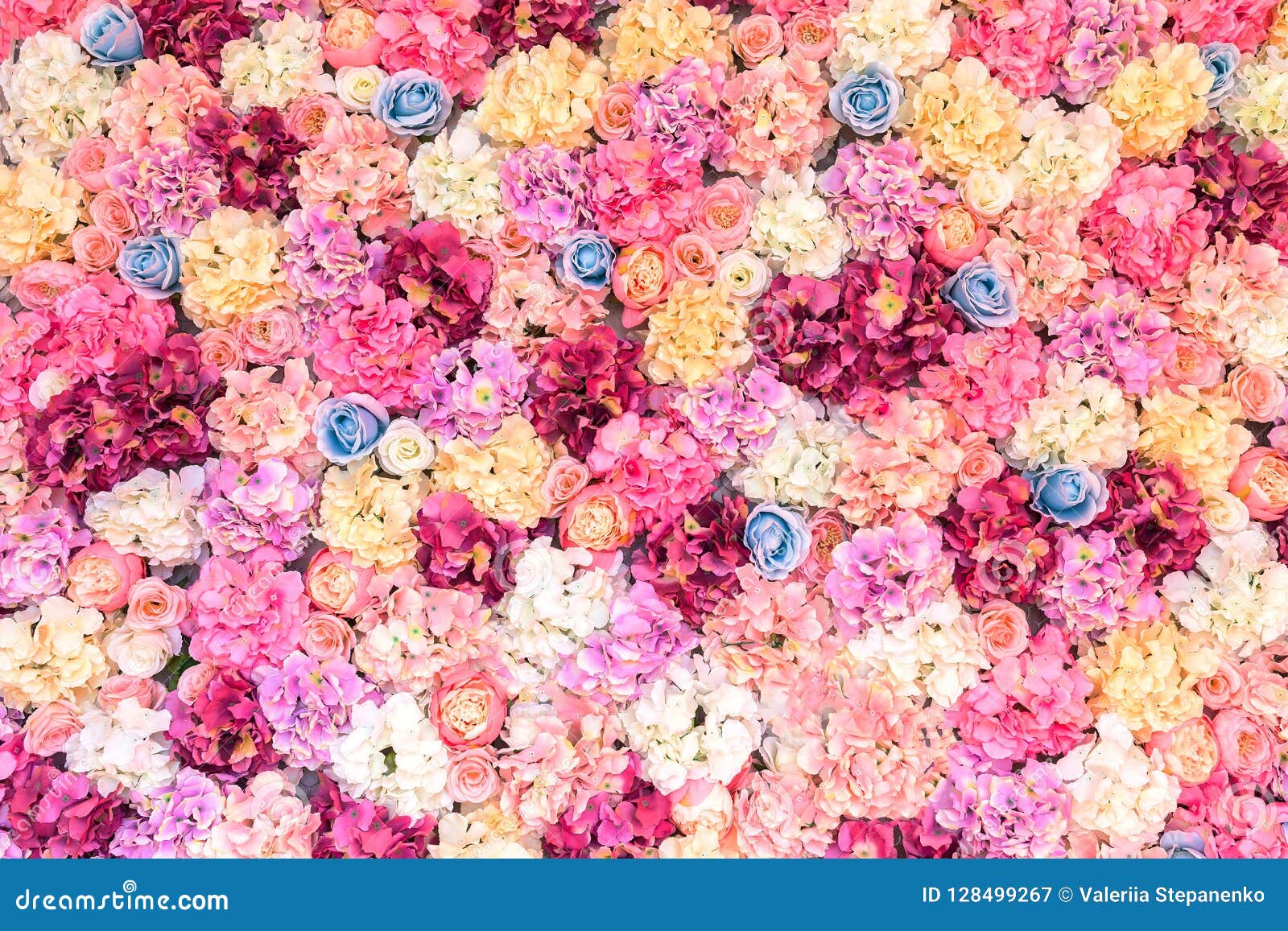 Flower Texture. Flower Wall Stock Image - Image of floral, white: 128499267