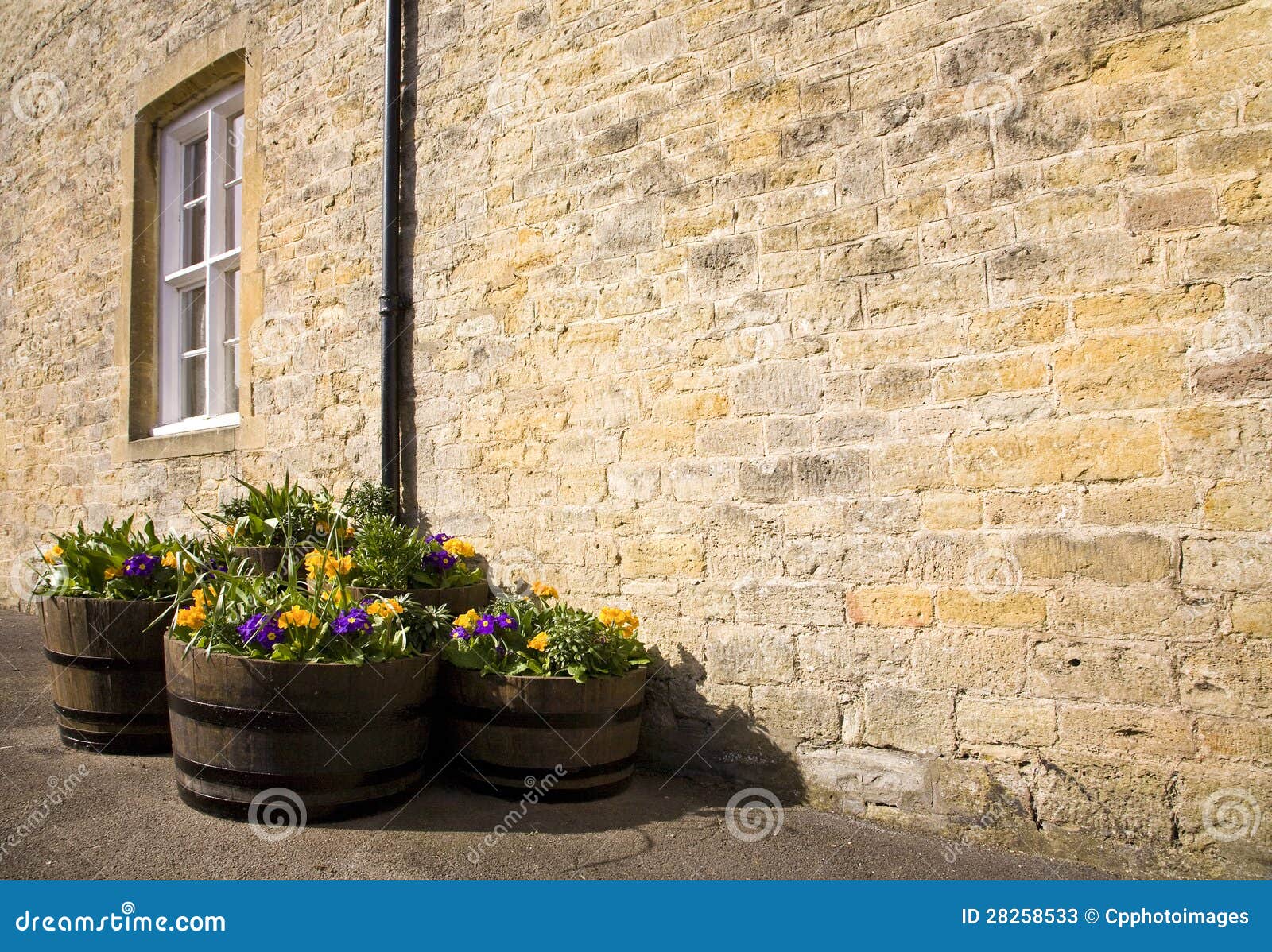 Flower tubs in the sun stock image. Image of golden, tubs 28258533