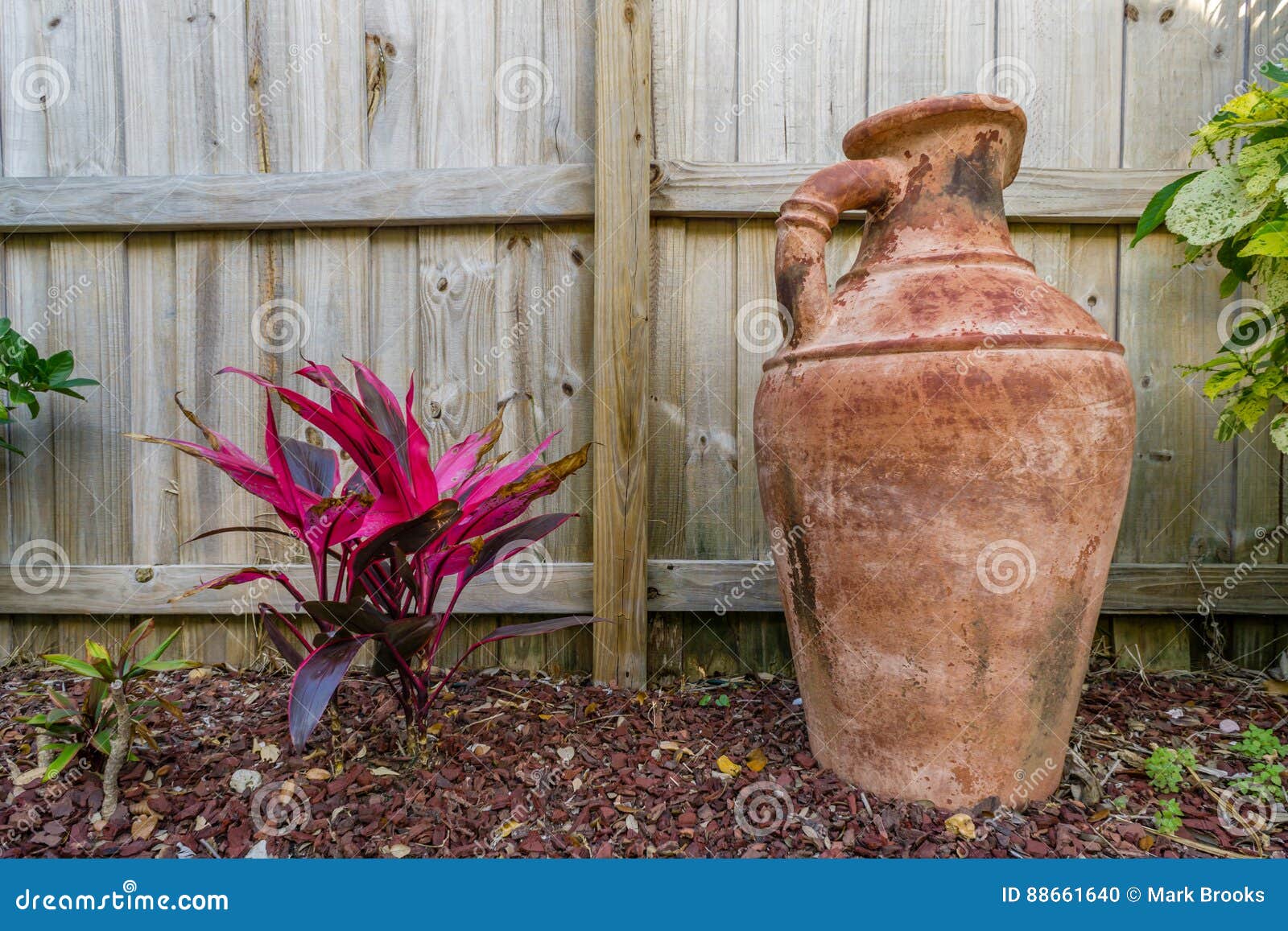 Flower and Vase in a Garden Stock Photo Image of bloom, cosmos 88661640