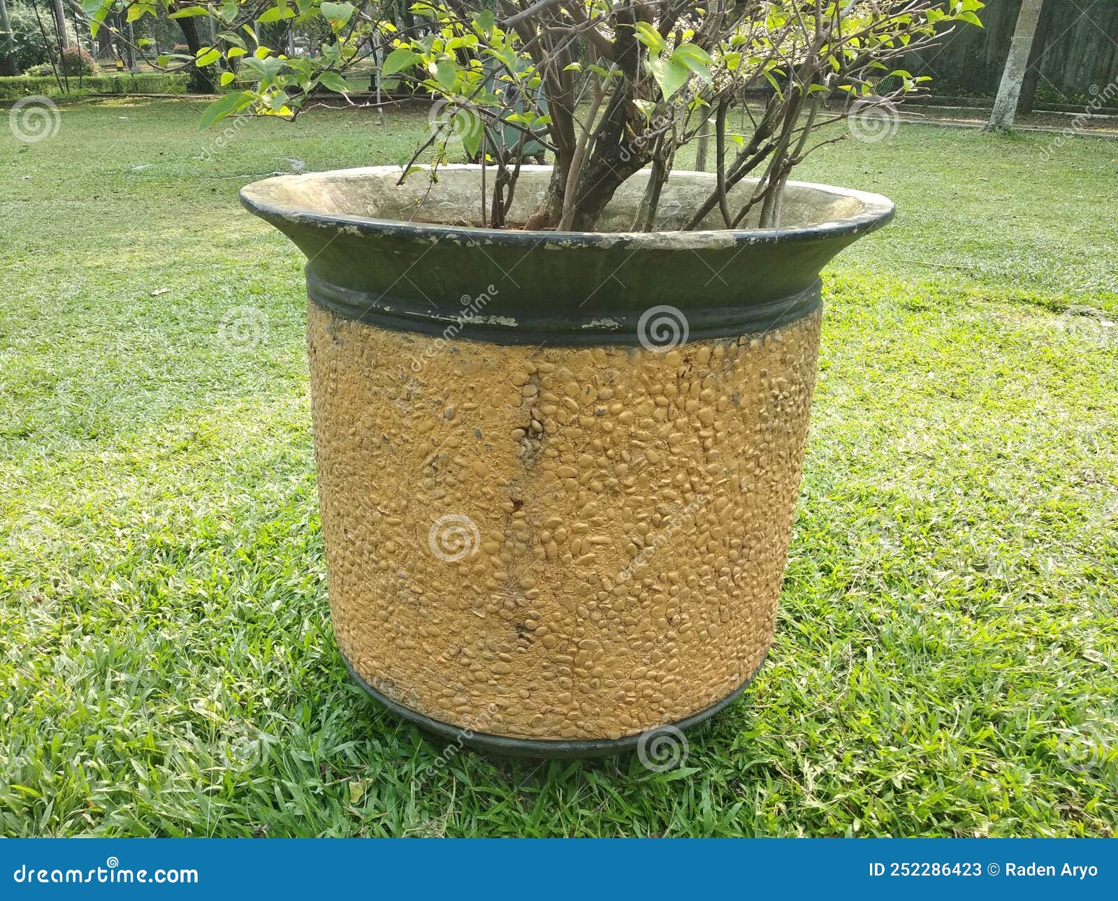 Flower Vase Made of Cement, Yellow, Placed in the Garden Stock Image