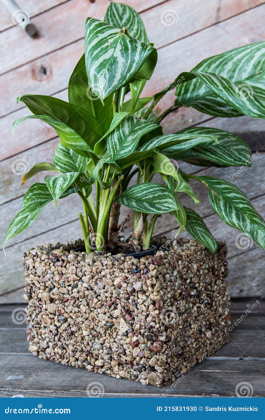 Flower Vase Made of Pebbles Stock Photo Image of bowl, pebble 215831930