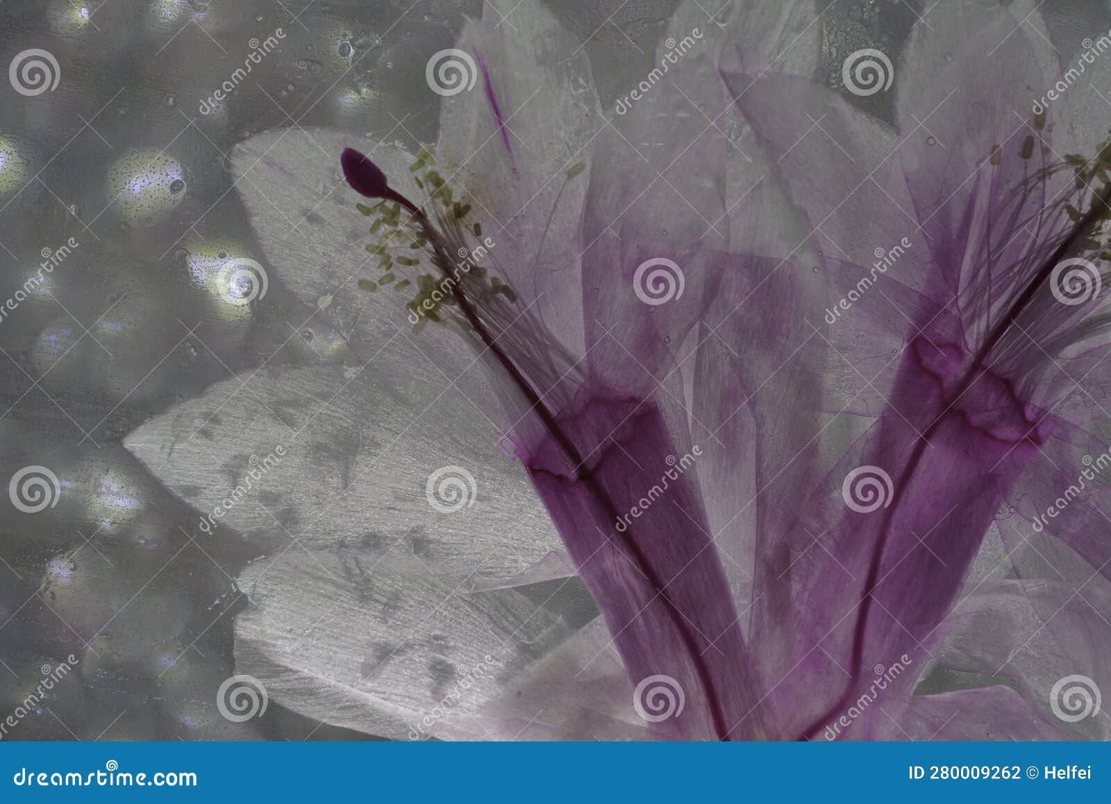 Flower in the Vase and in the Picture Frame Full of Art Stock Photo