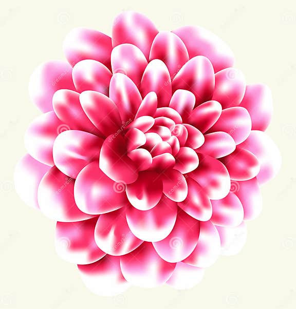 Flower vector stock vector. Illustration of flower, pink 7228475