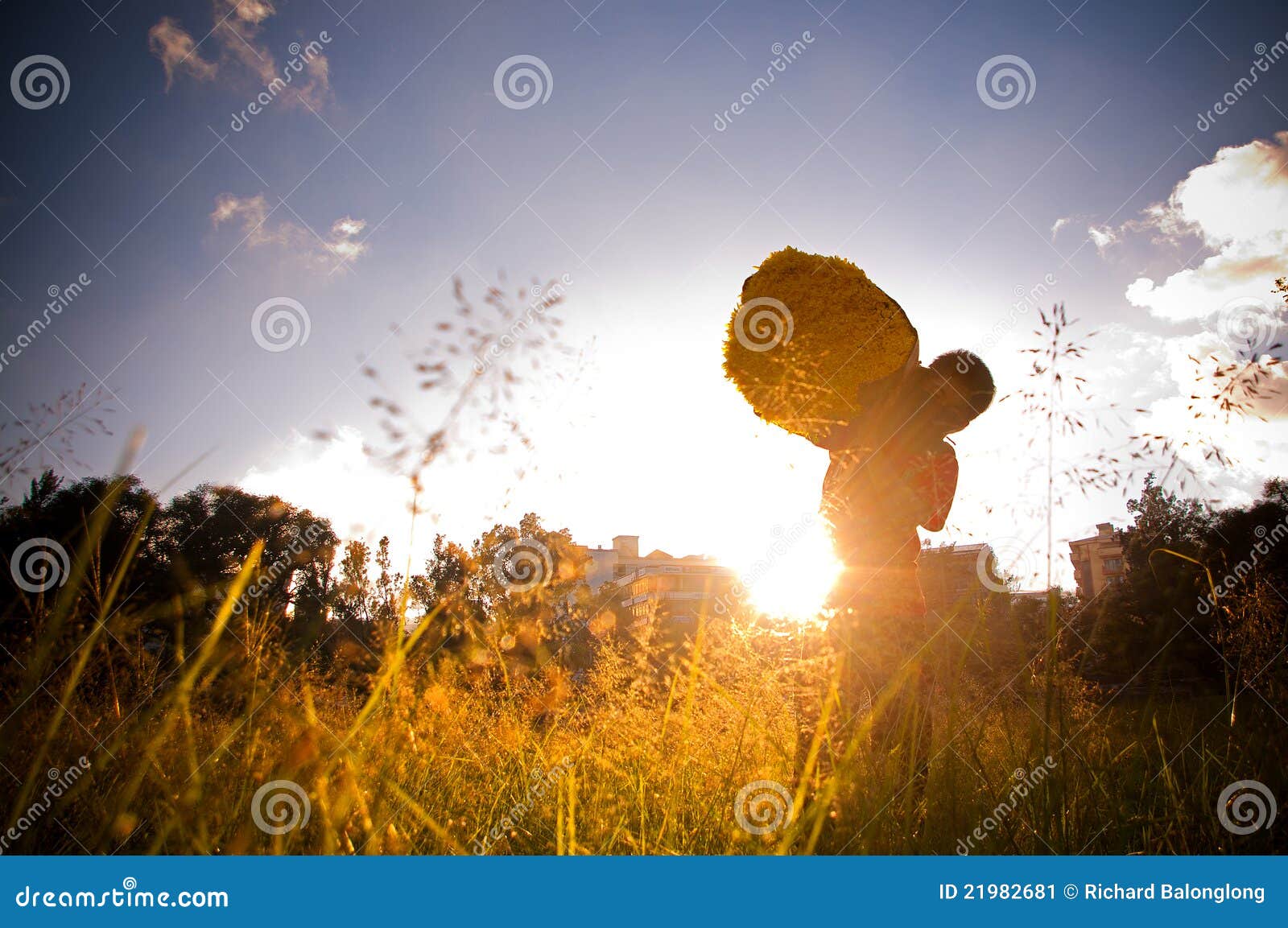 Flower Vendor editorial photo. Image of copy, work, field 21982681