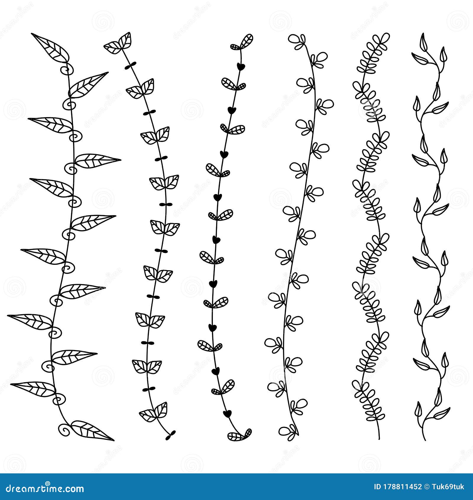 Flower Vine Leaves Hand Drawn Doodle Vector Line Border Set And Design