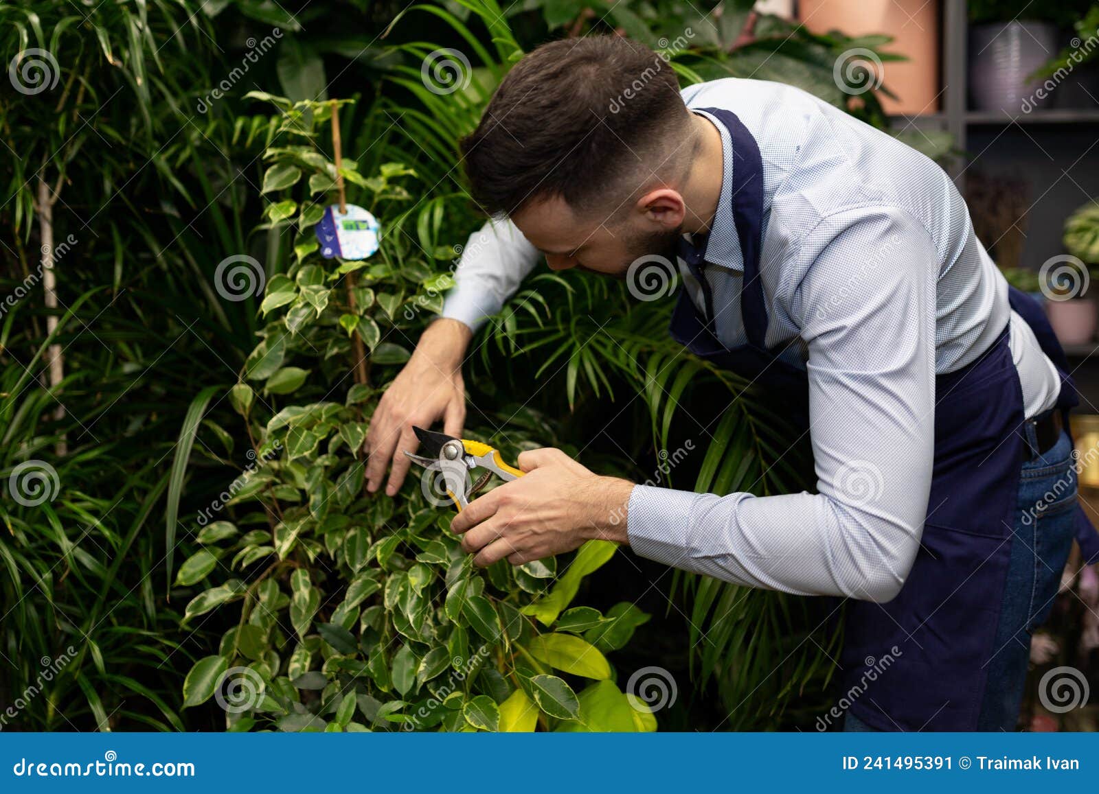 Flower Warehouse Worker at a Garden Center Caring for Plants Stock