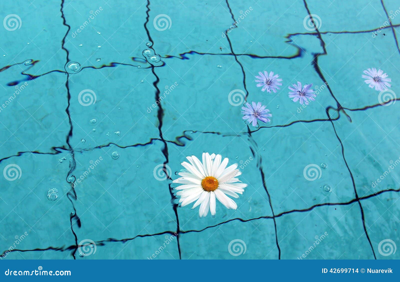 Flower in Water stock photo. Image of water, flower, travel 42699714