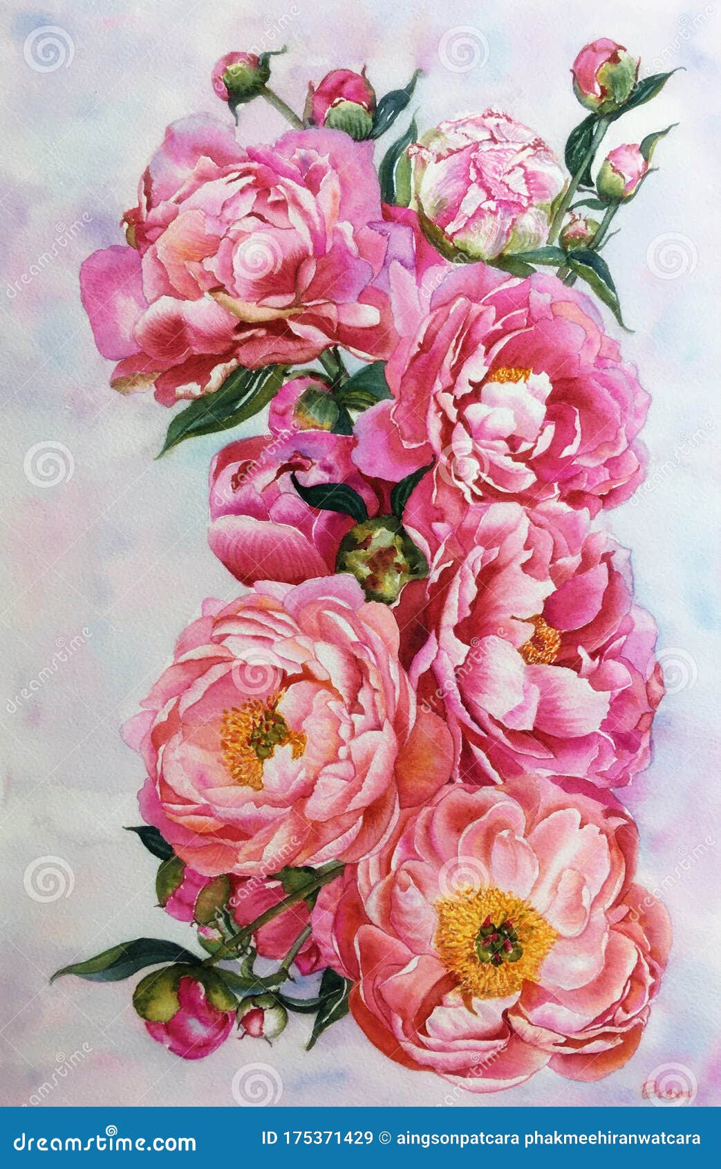 Flower Watercolor stock image. Image of hand, drawing 175371429