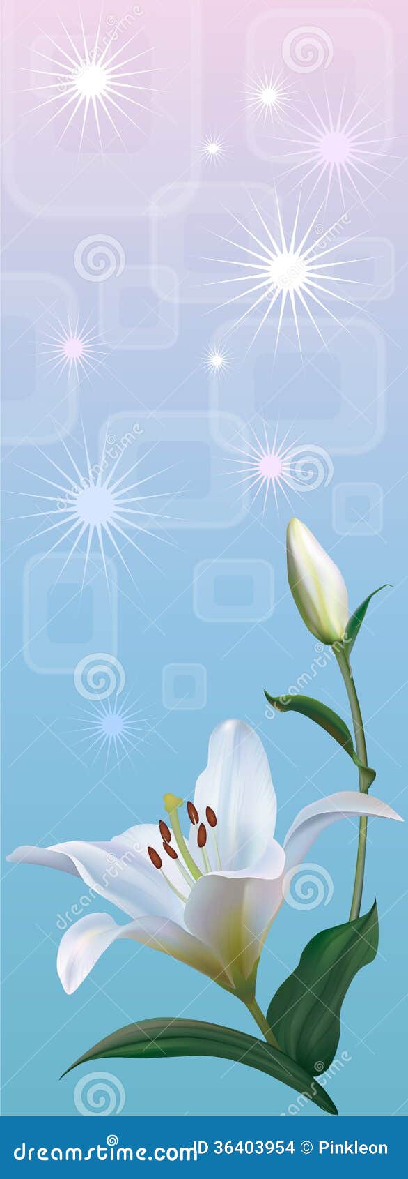 Flower White Lily on a Blue Stock Vector - Illustration of shiny ...