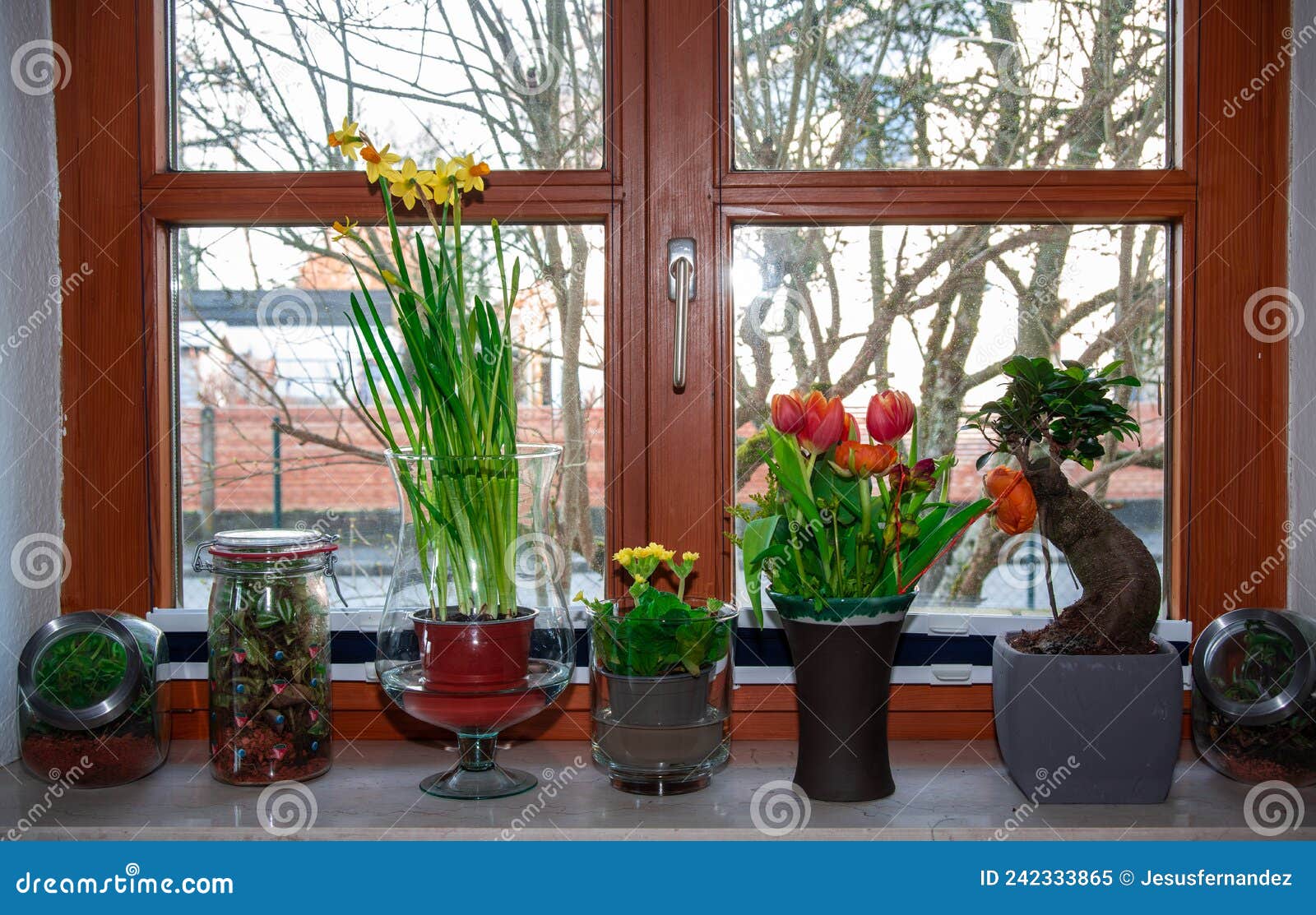 Flower on window sill stock image. Image of indoorcolorful 242333865