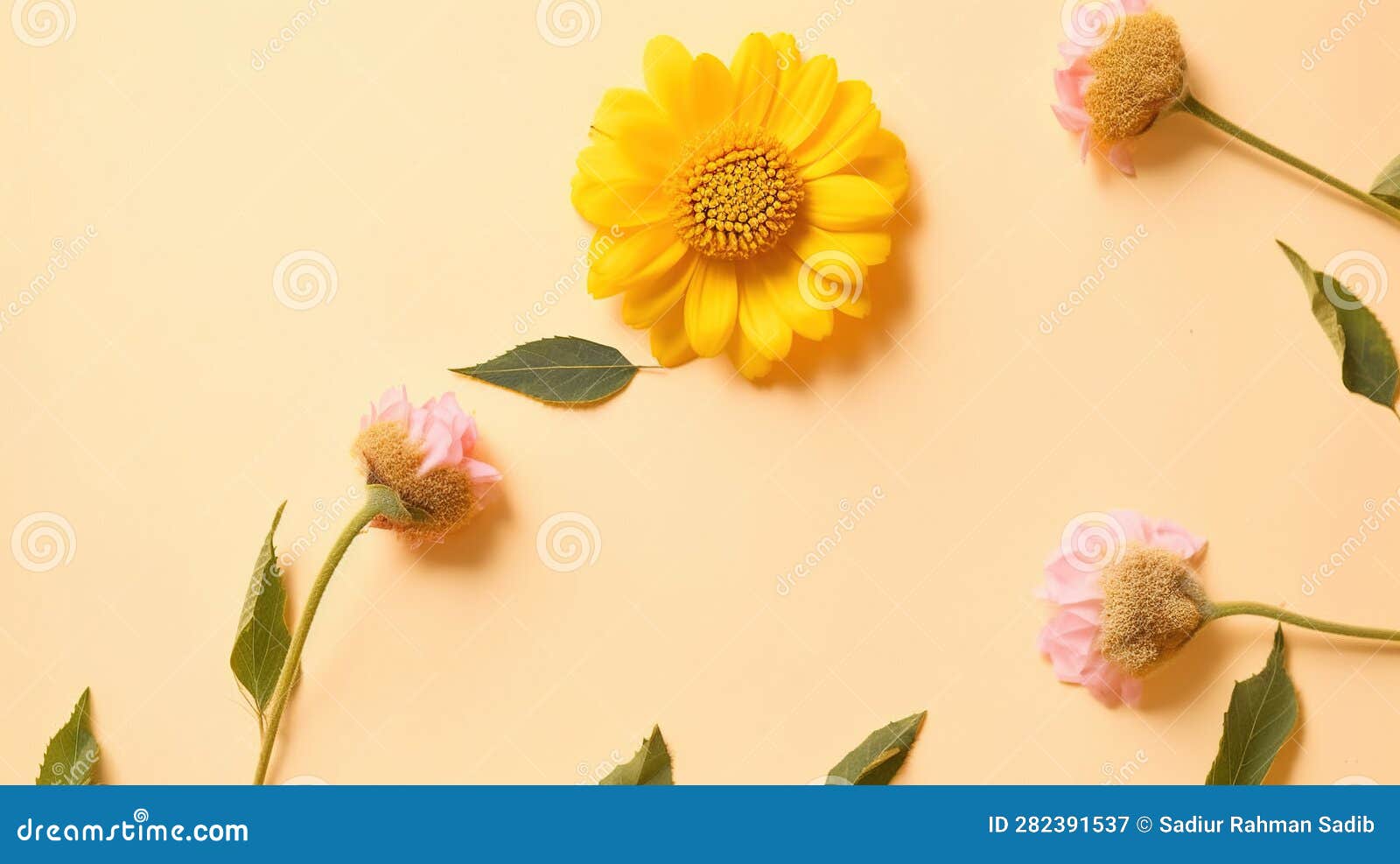 Flower on a Yellow Background. Summer Flower Flat Lay on Yellow