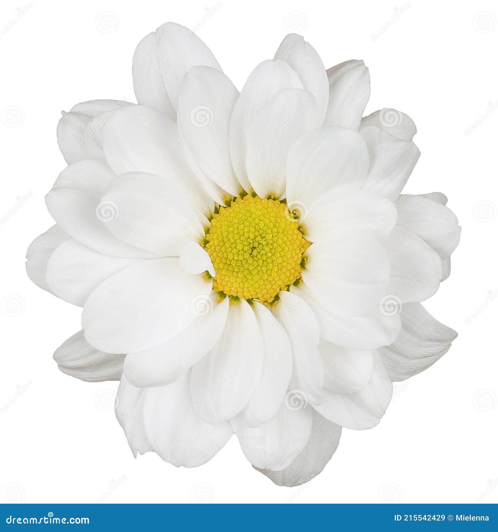 My Image 23