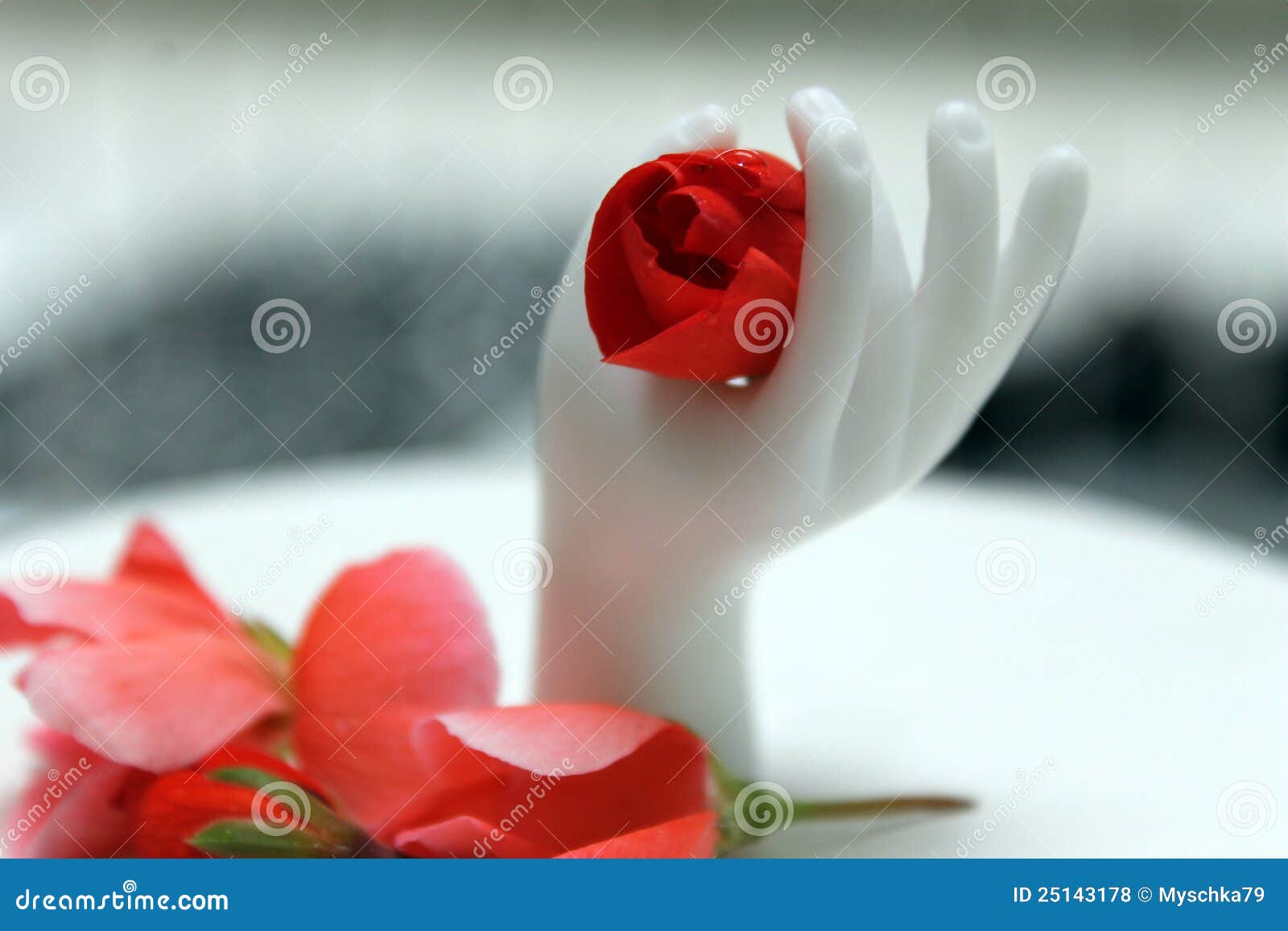 Flower for you stock photo. Image of happy, collection 25143178