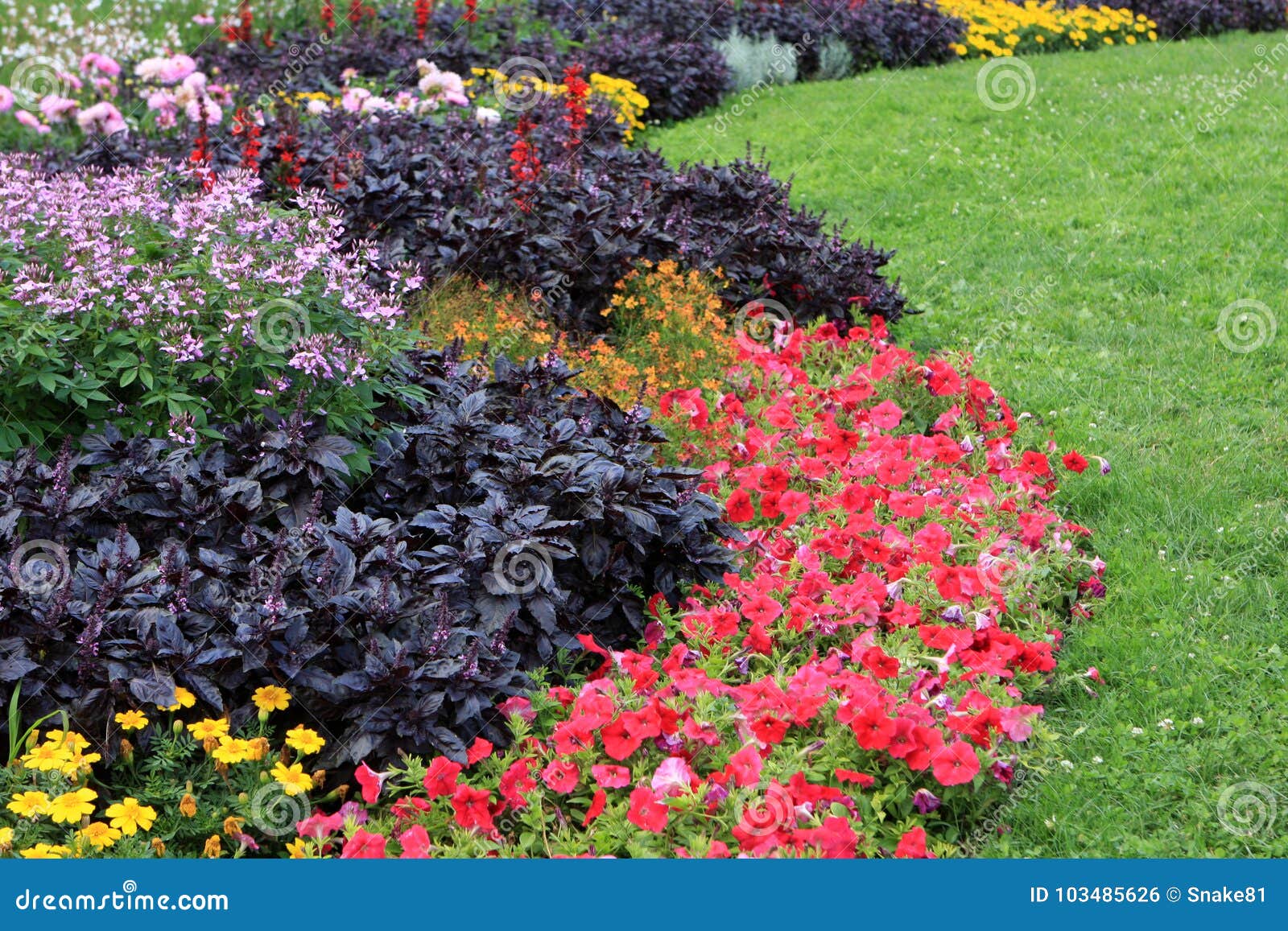 flowerbed in budapest stock photo. image of flora, spring - 103485626