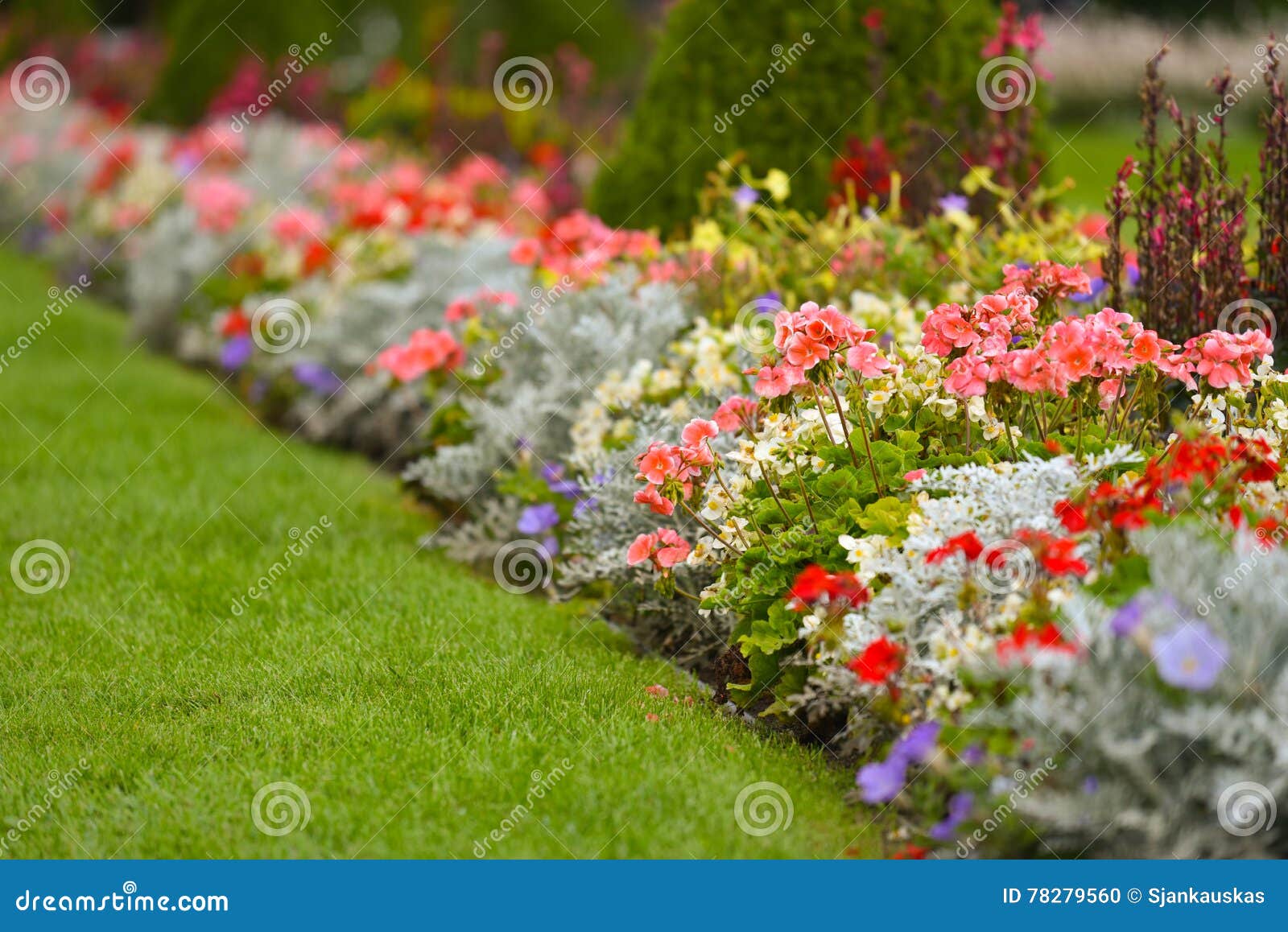flowerbed in park