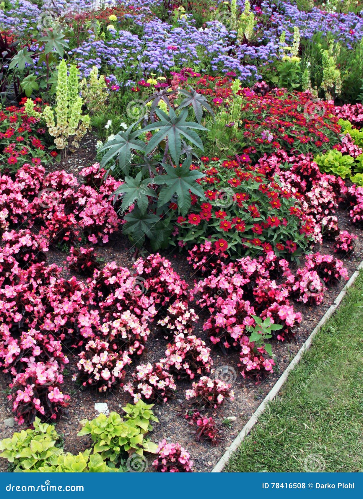 flowerbeds with annuals