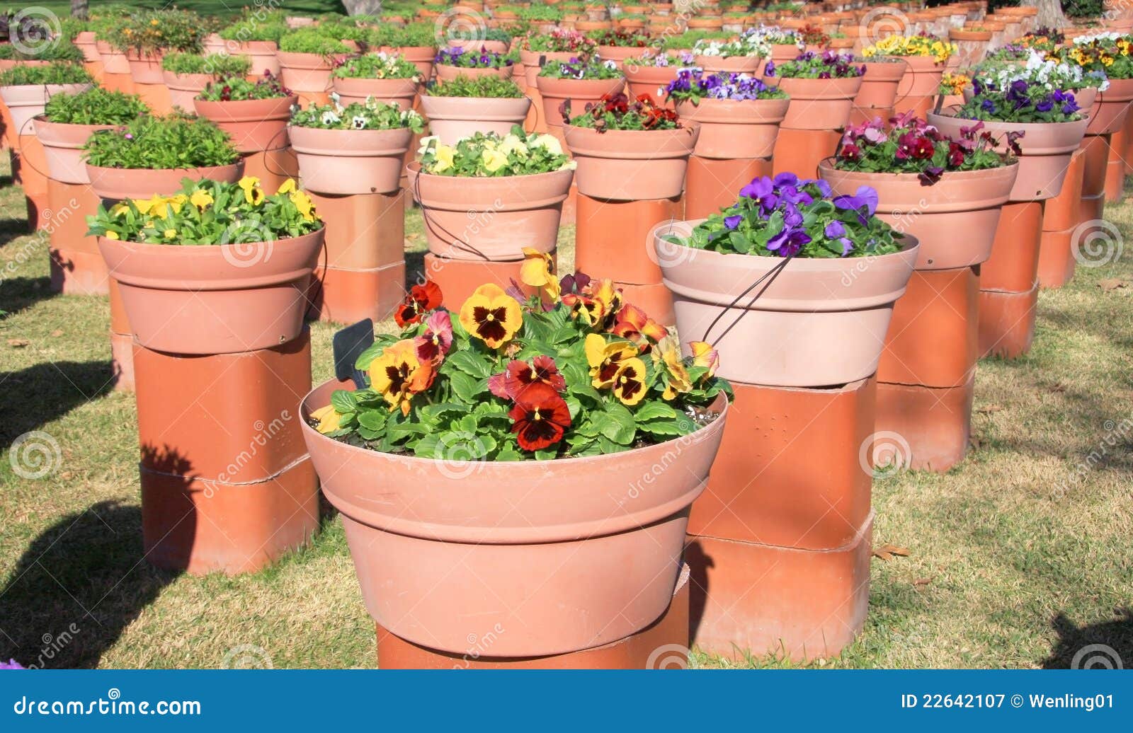 Flowerpots background stock image. Image of blooms, green 22642107