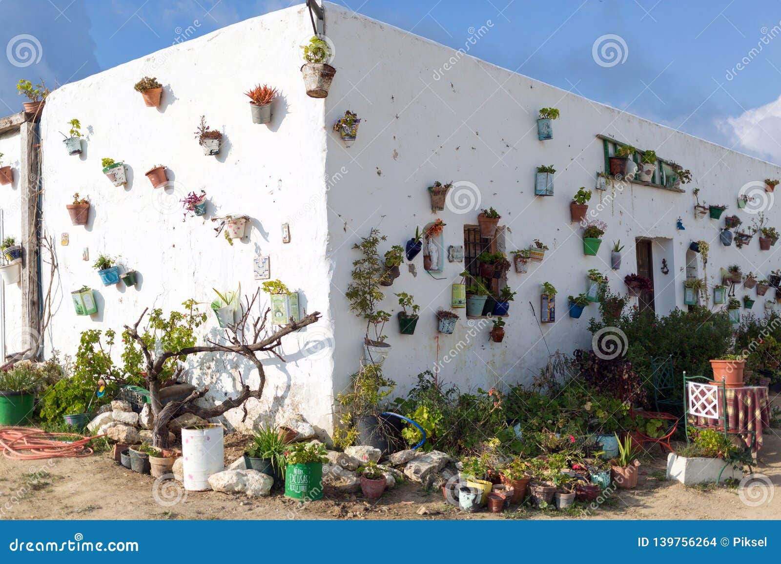 flowerpots on the walls of vejer de la frontera, spain