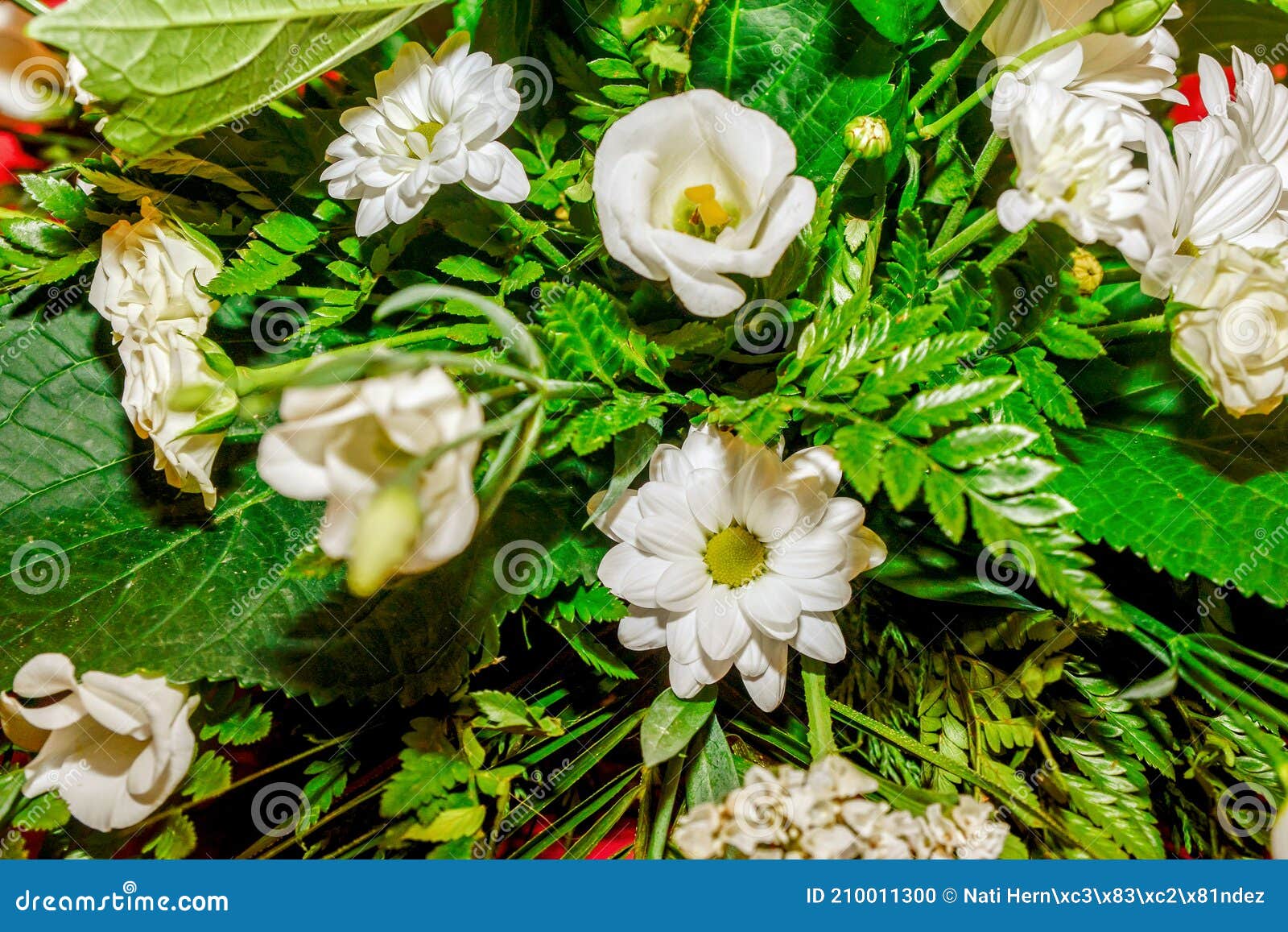 floral decoration with daisies and white eustoma with green background. lisianthus.