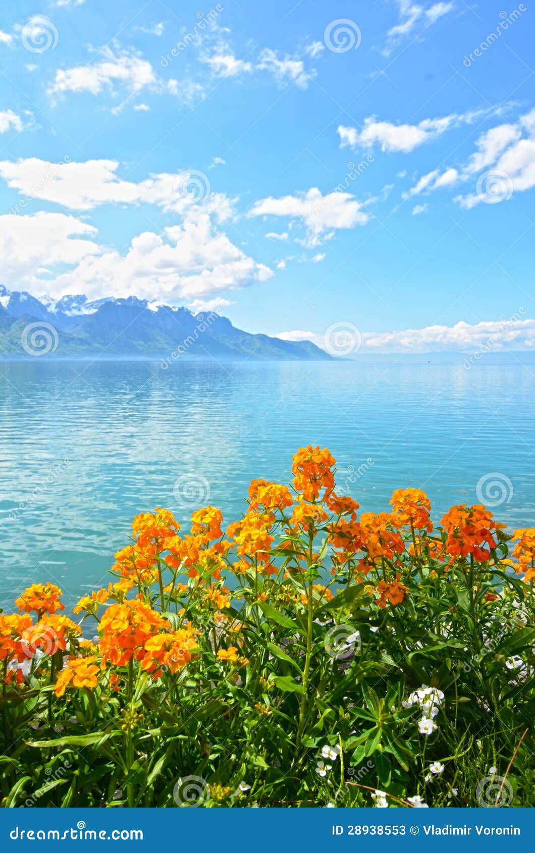 flowers against mountains and lake geneva from the embankment in montreux