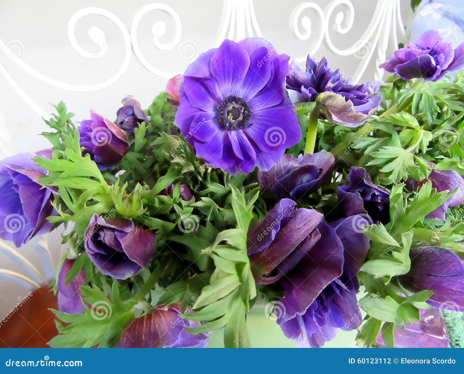 Flowers anemones stock photo. Image of anemones, bouquet 60123112