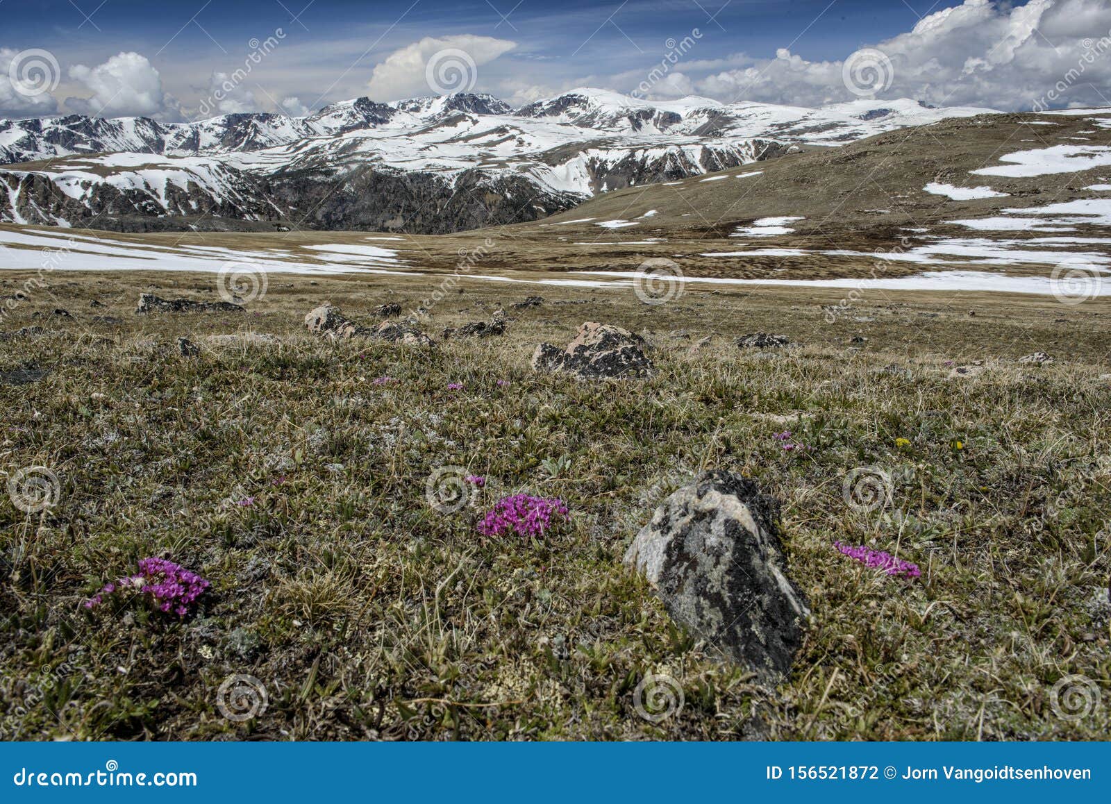 spring on the beartooth highway