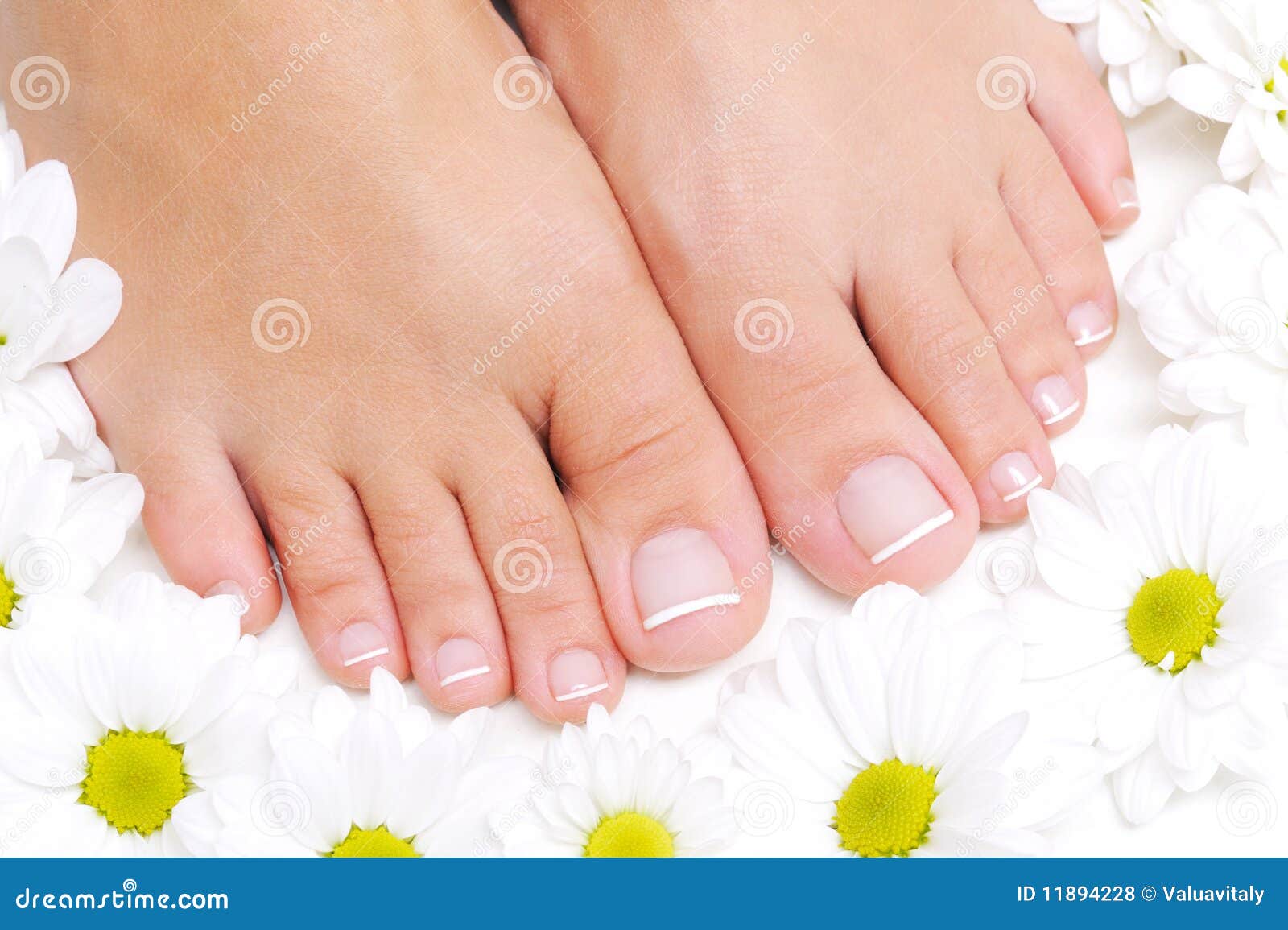 Flowers Around Beautiful Female Feet Stock Photo - Image of indoors ...