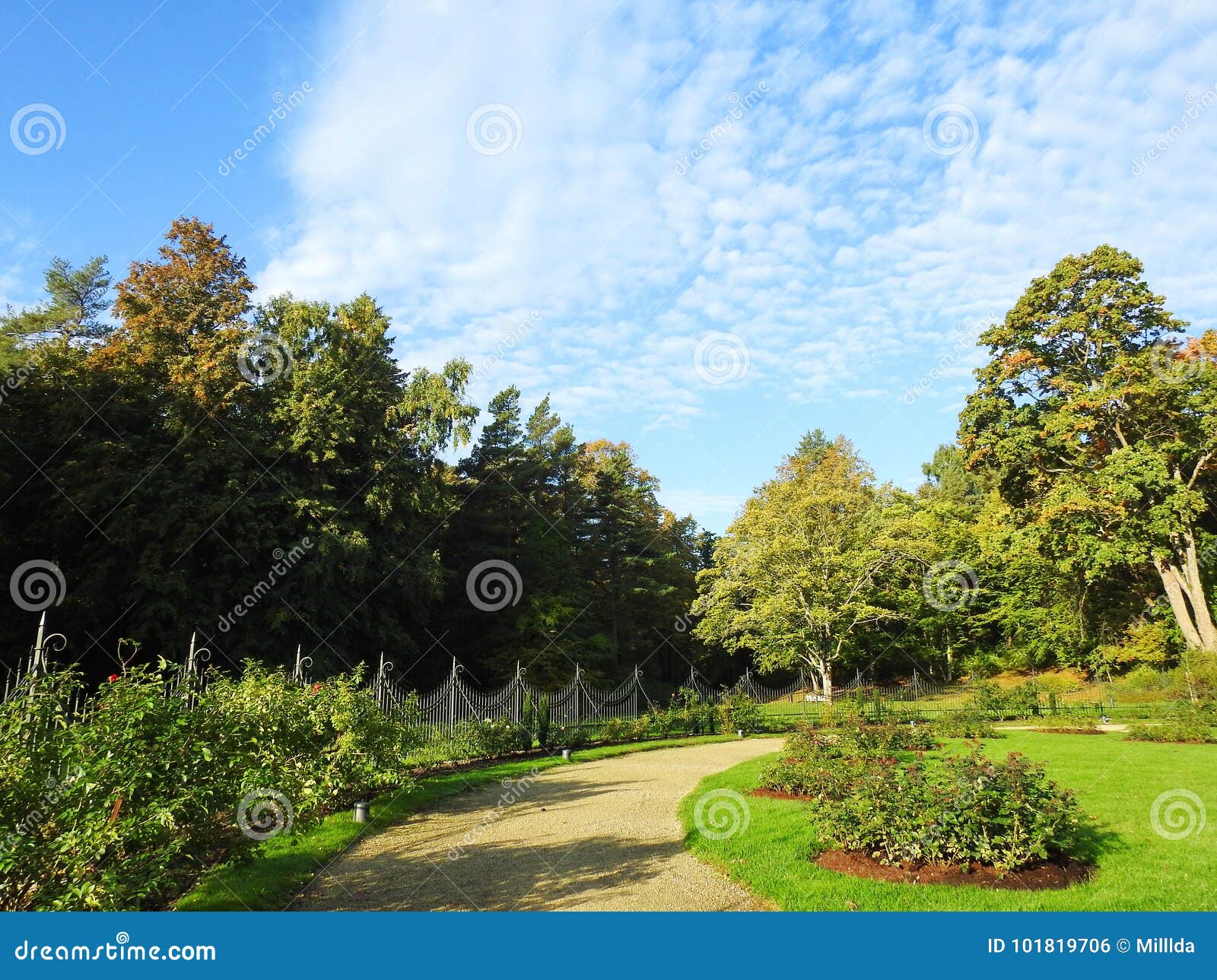 Flowers and Beautiful Trees, Lithuania Stock Photo - Image of path ...