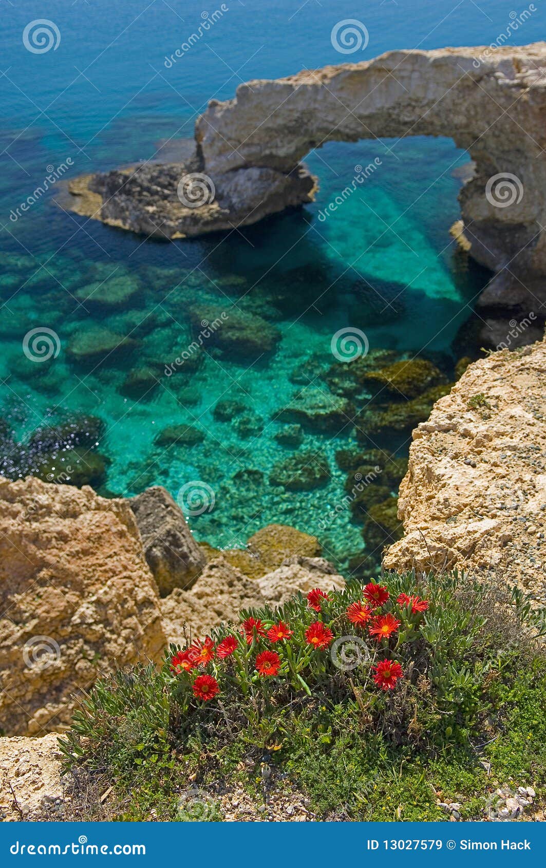 Flowers at Ayia Napa Rock Arch. Stock Image Image of mediteranean