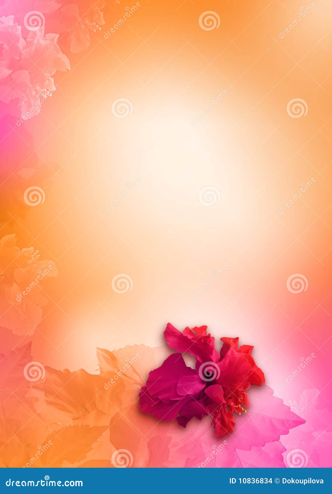 flowers background, orange, pink