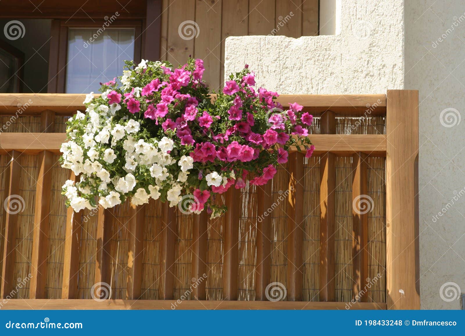 flowers in the balcons