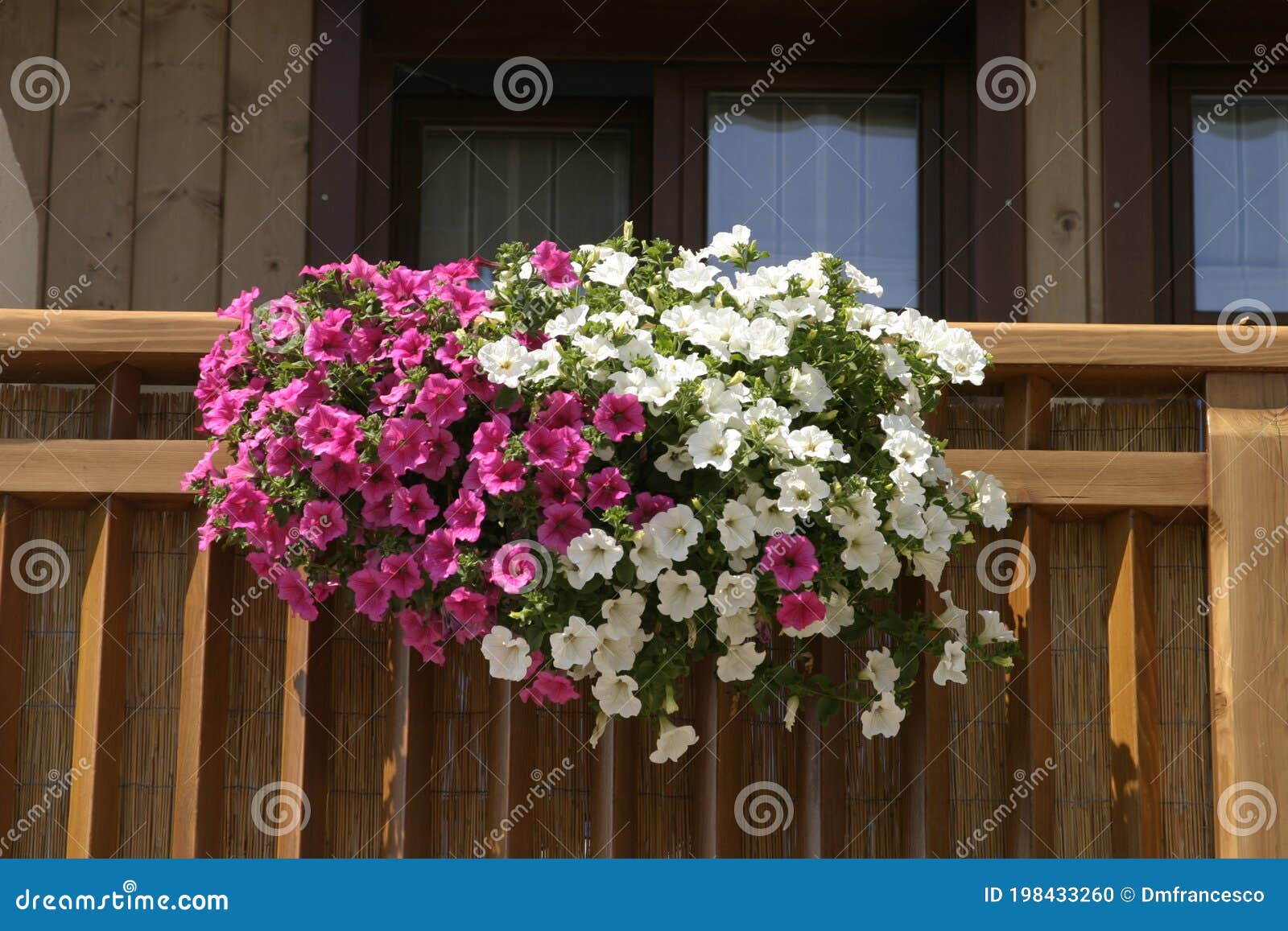 flowers in the balcony