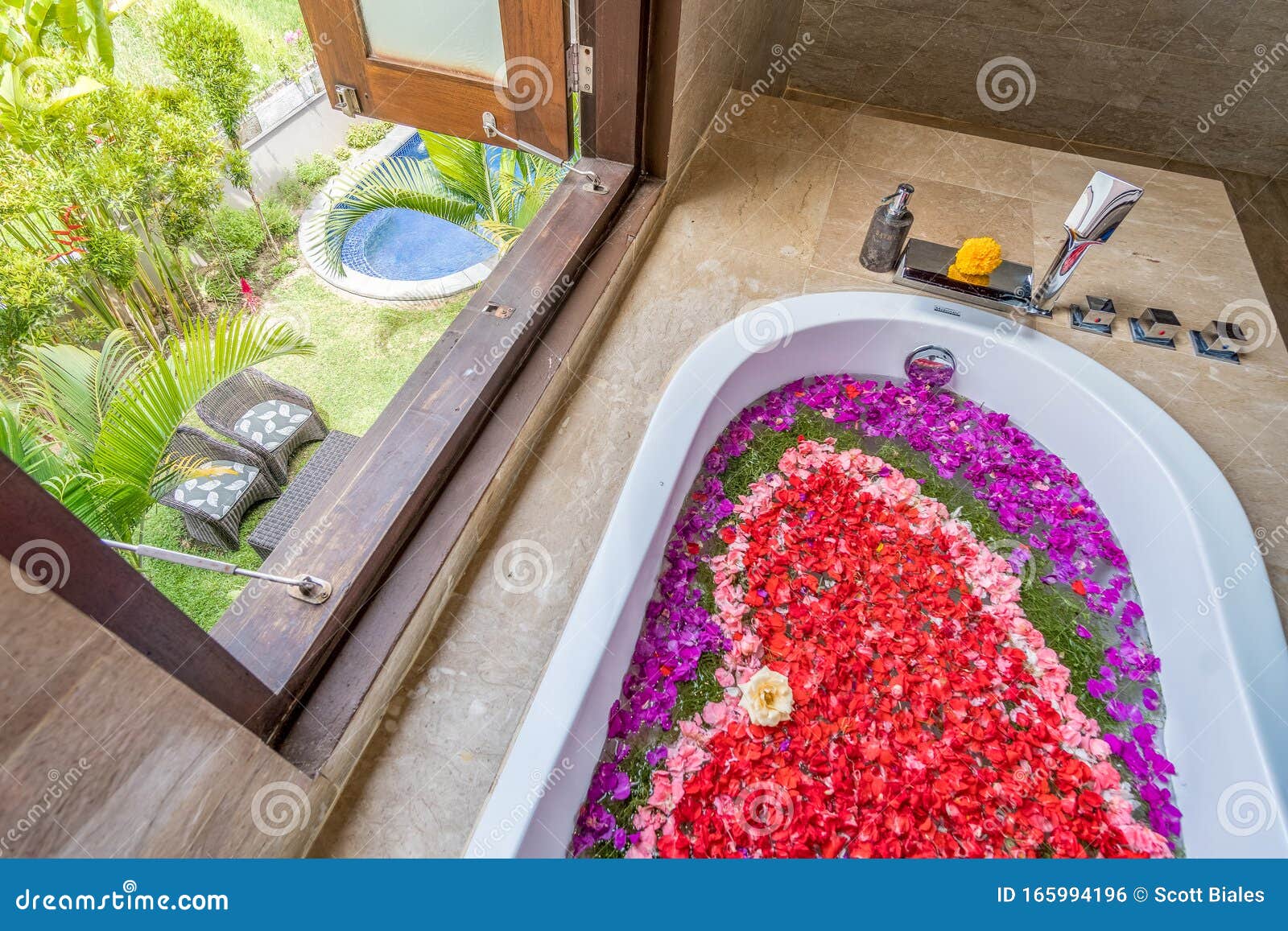 Flowers in Bathtub Next To Window Stock Photo Image of relaxation