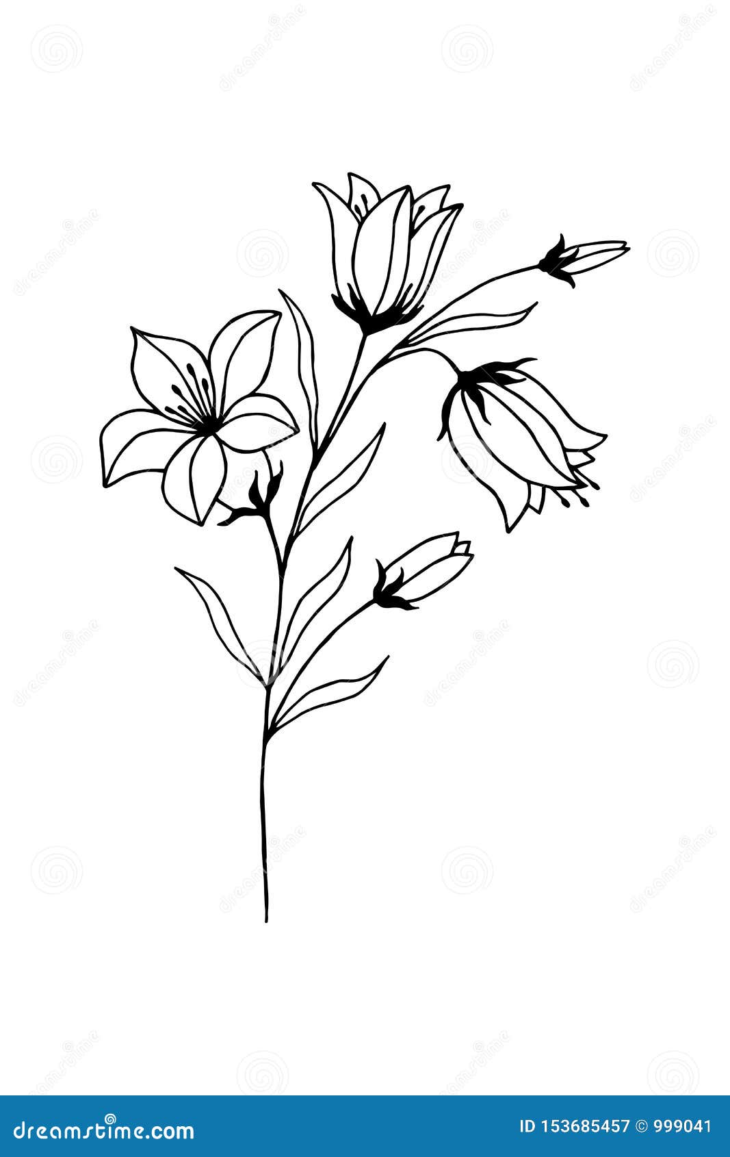 Flowers Bells on a White Background Hand drawn, Vector ...
