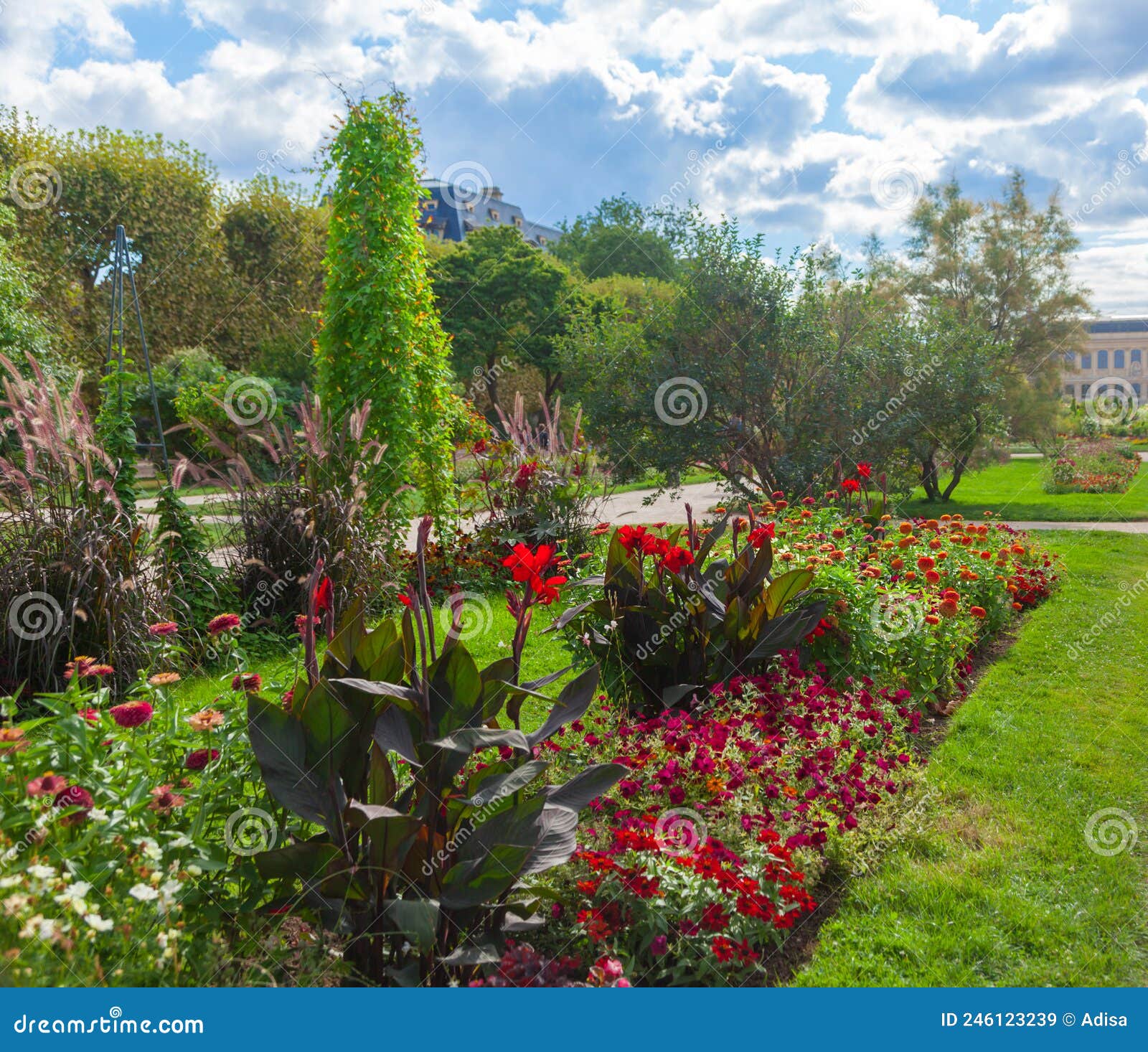 flowers bloom in jardin des plantes